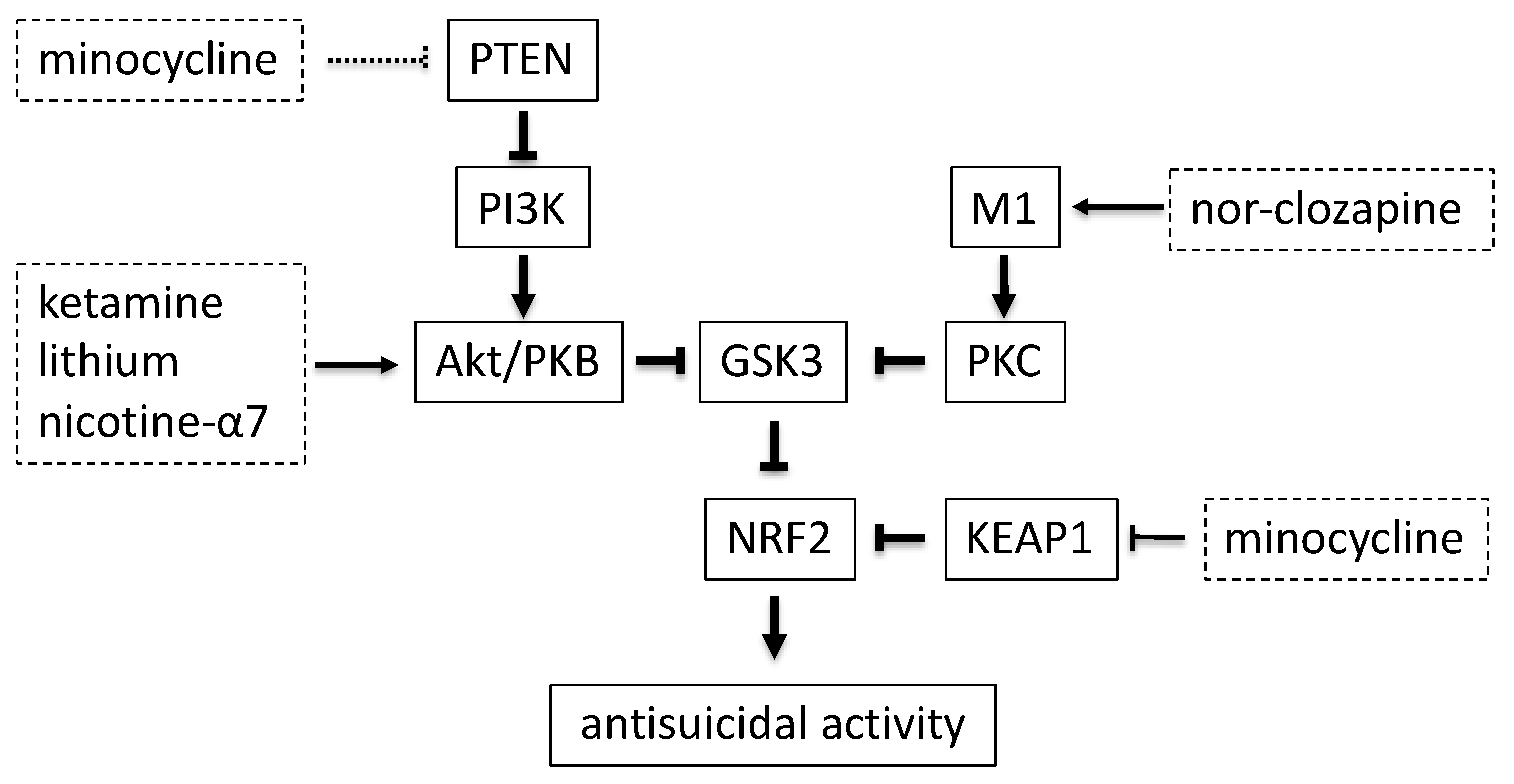 Psychiatryint 02 00008 g001