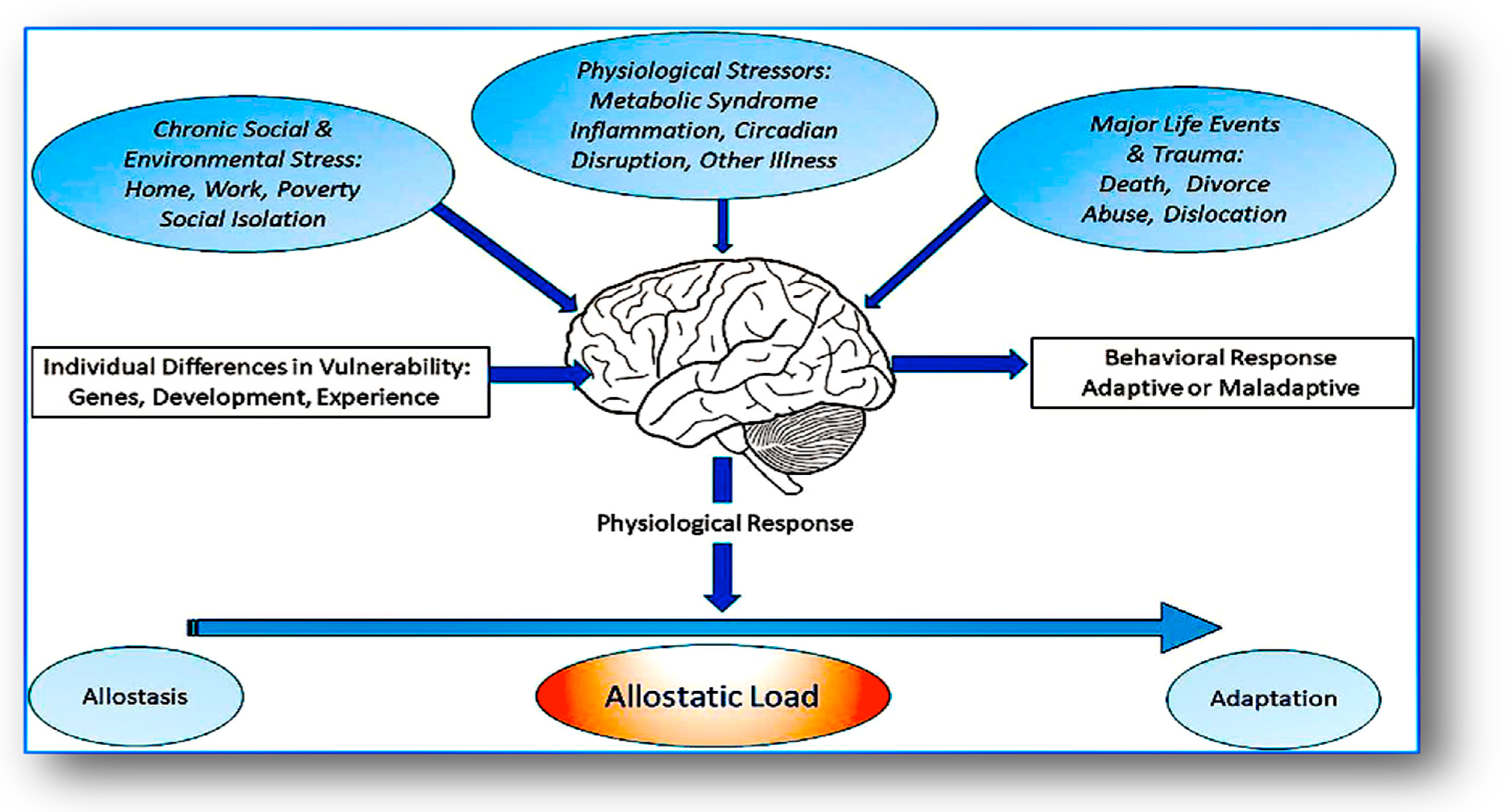 Psychiatryint 05 00005 g002