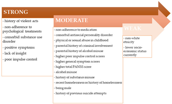 Insight and Violence: An Overview of the Possible Link and