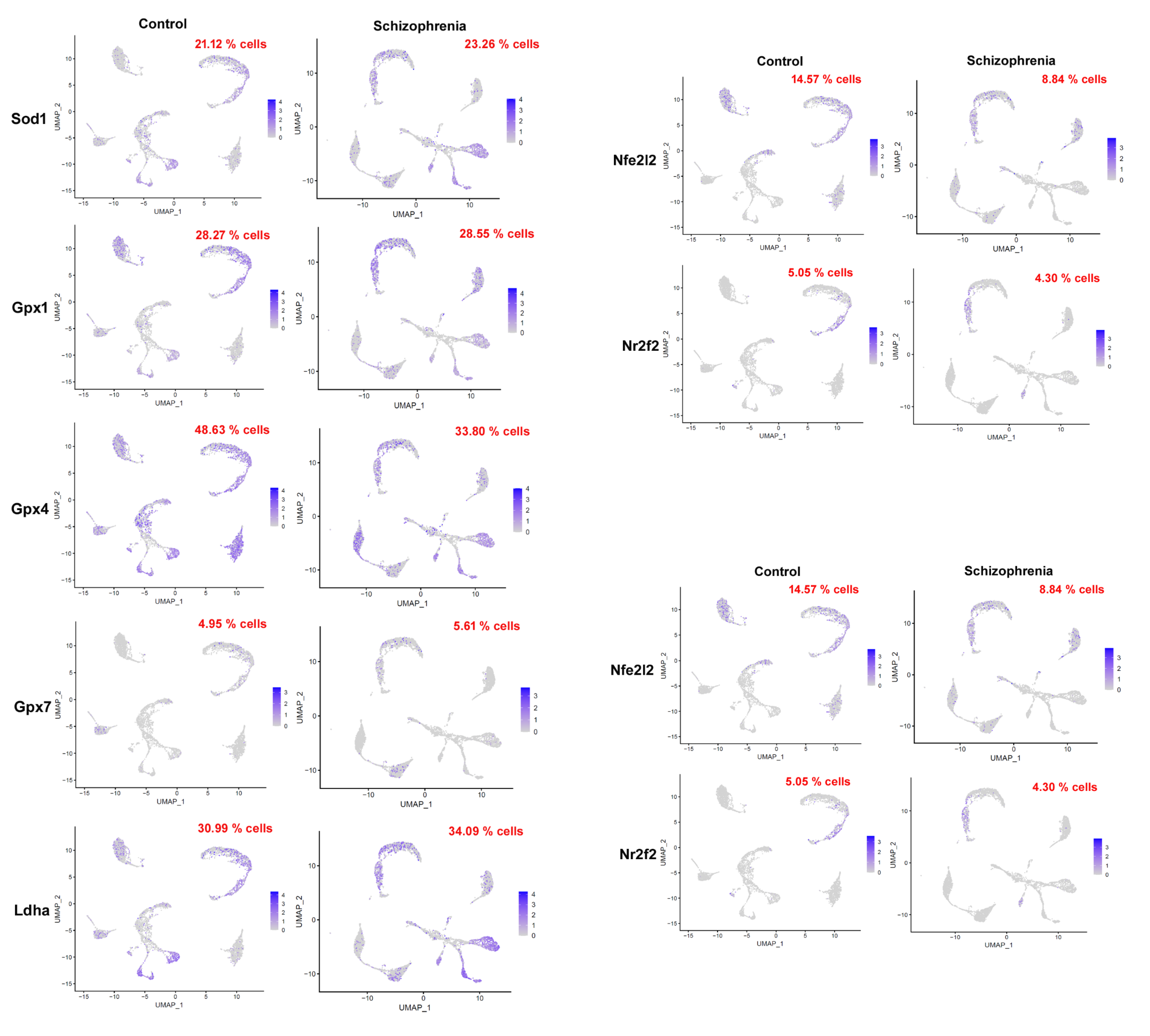 Psychiatryint 06 00104 g001 Psychiatryint 06 00104 g001