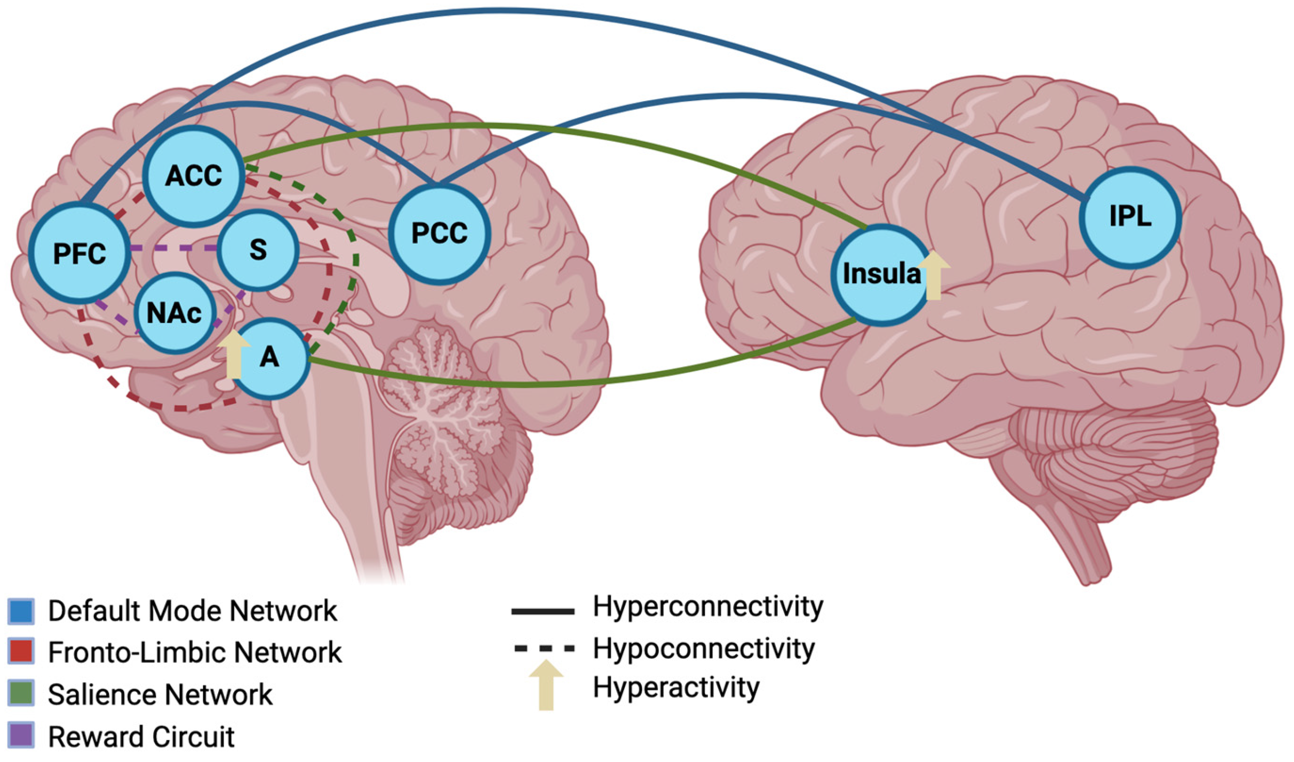 Psychiatryint 06 00134 g001 Psychiatryint 06 00134 g001
