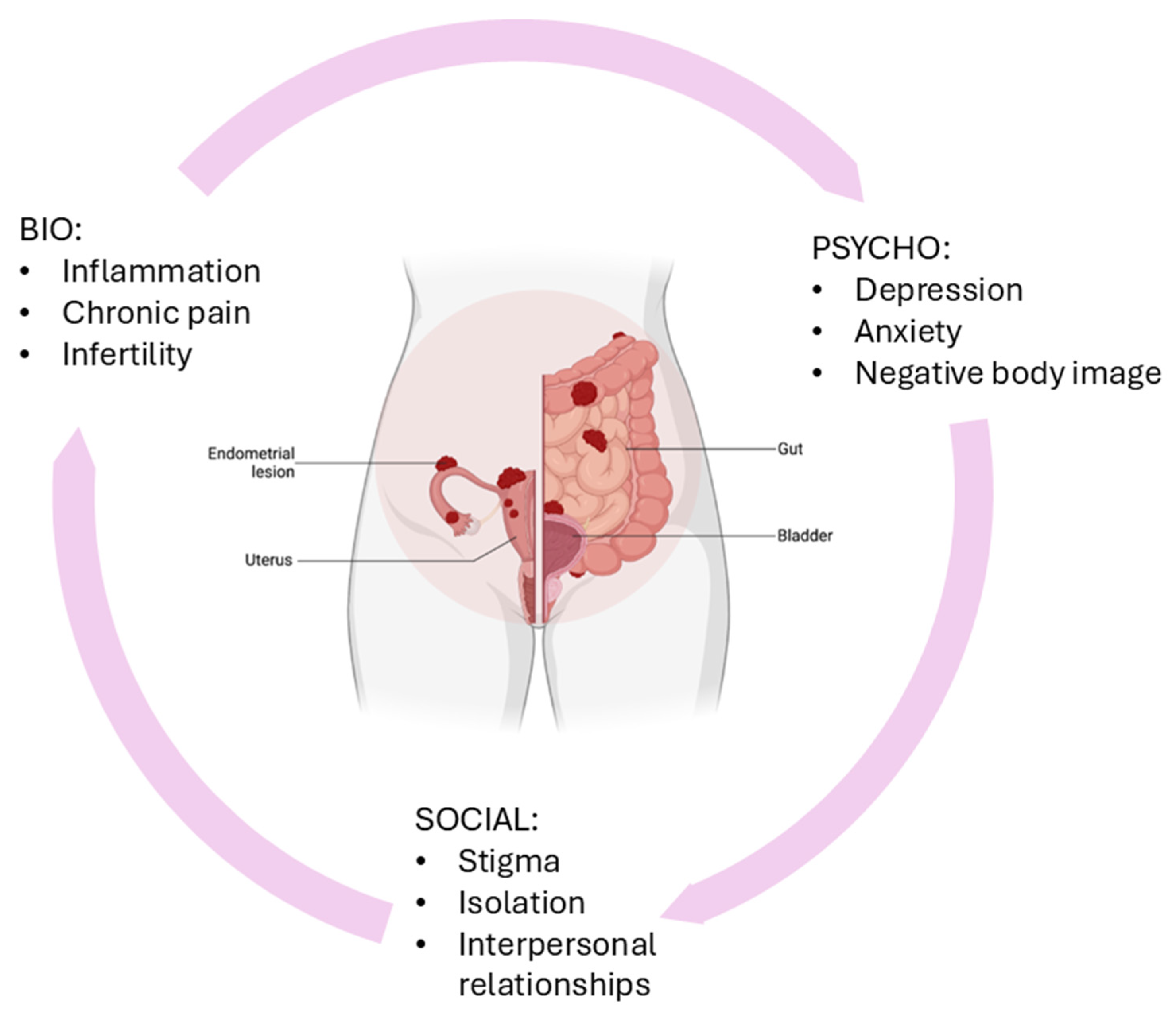 Psychiatryint 07 00009 g001 Psychiatryint 07 00009 g001