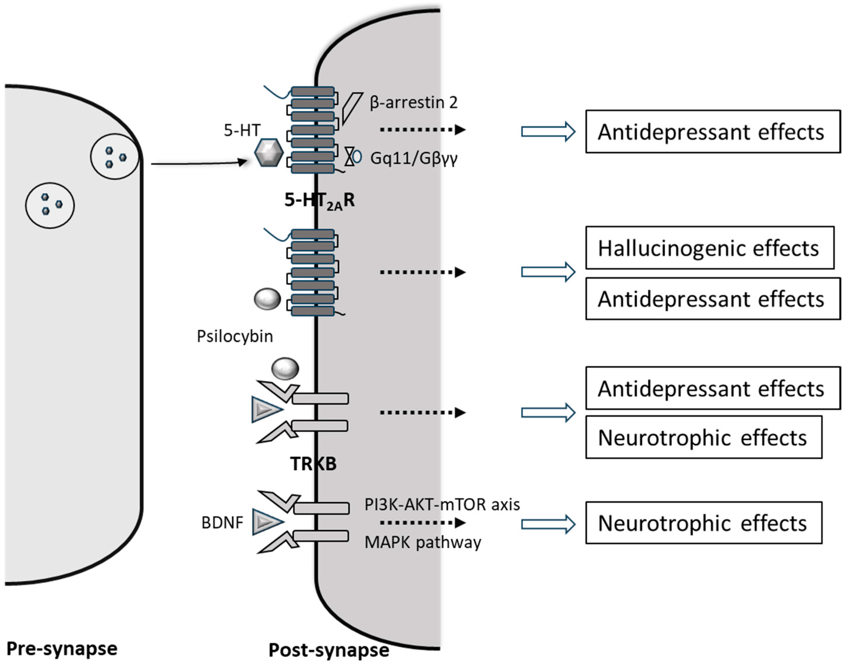Psychoactives 04 00005 g001 Psychoactives 04 00005 g001