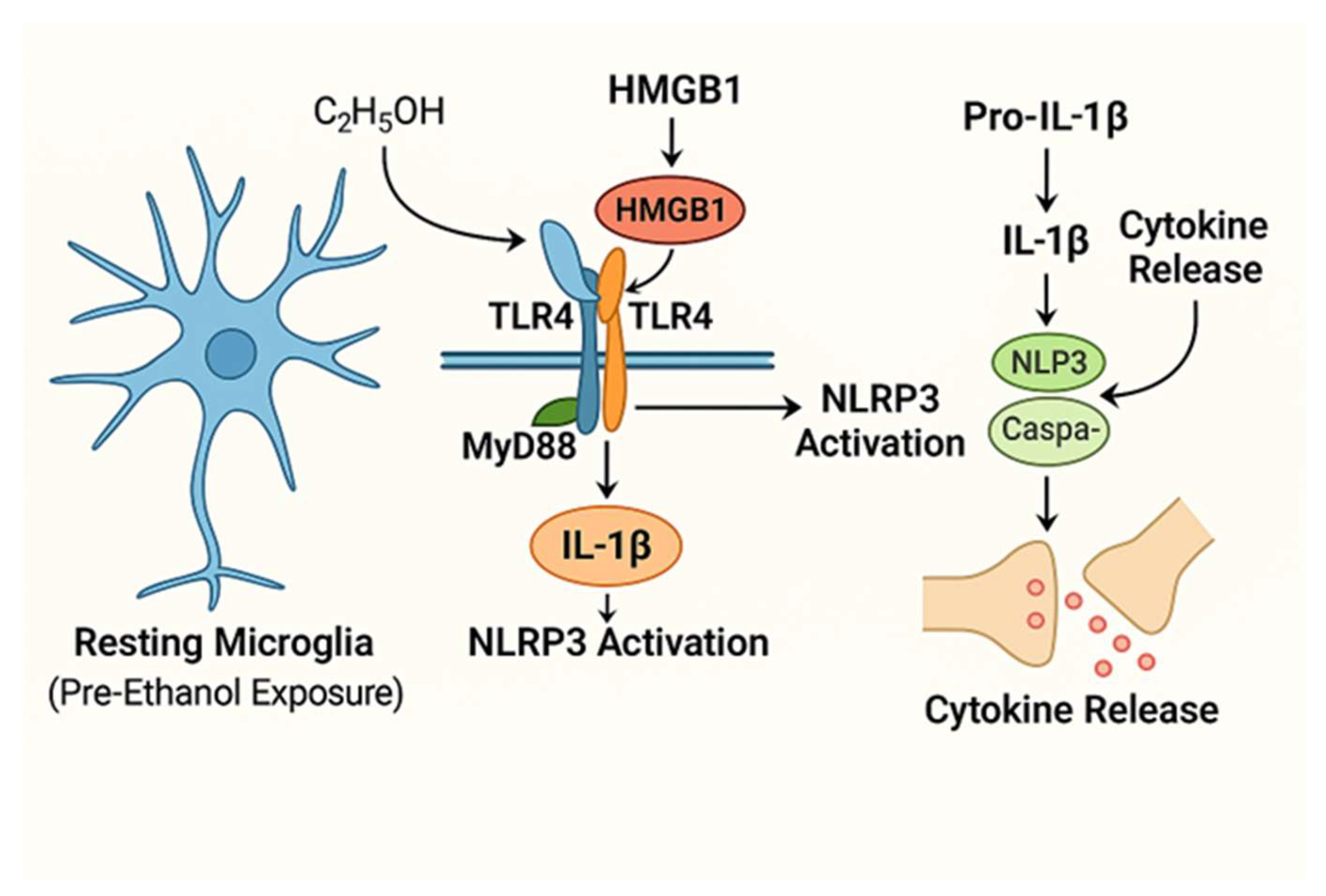 Psychoactives 04 00033 g002
