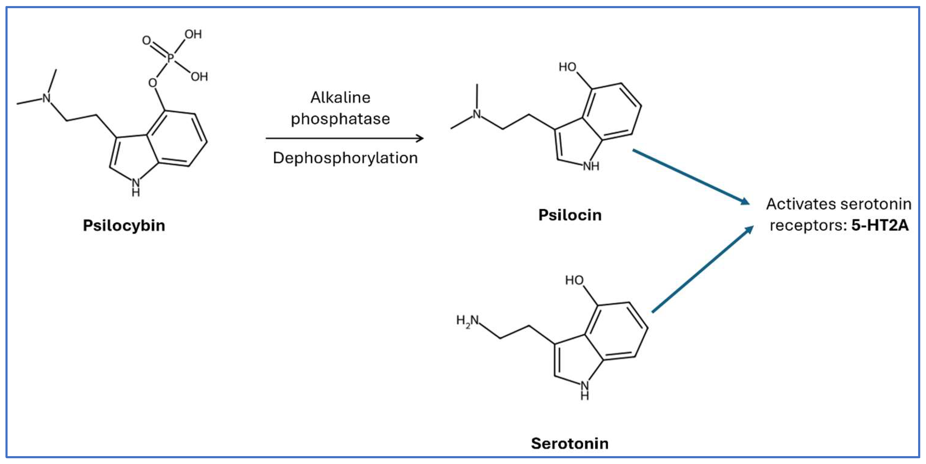 Psychoactives 04 00039 g001 Psychoactives 04 00039 g001