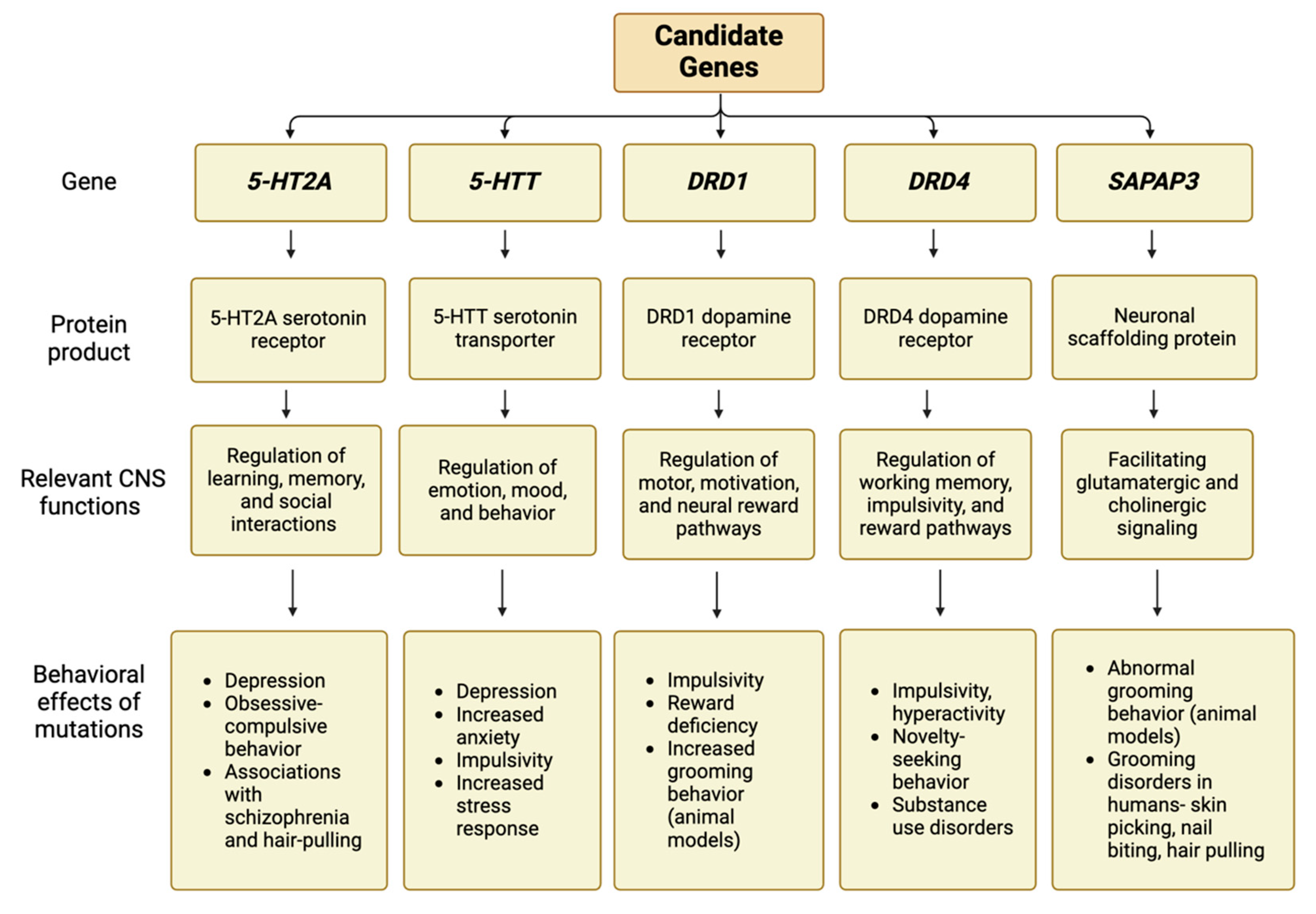 Psycholint 06 00031 g001 Psycholint 06 00031 g001