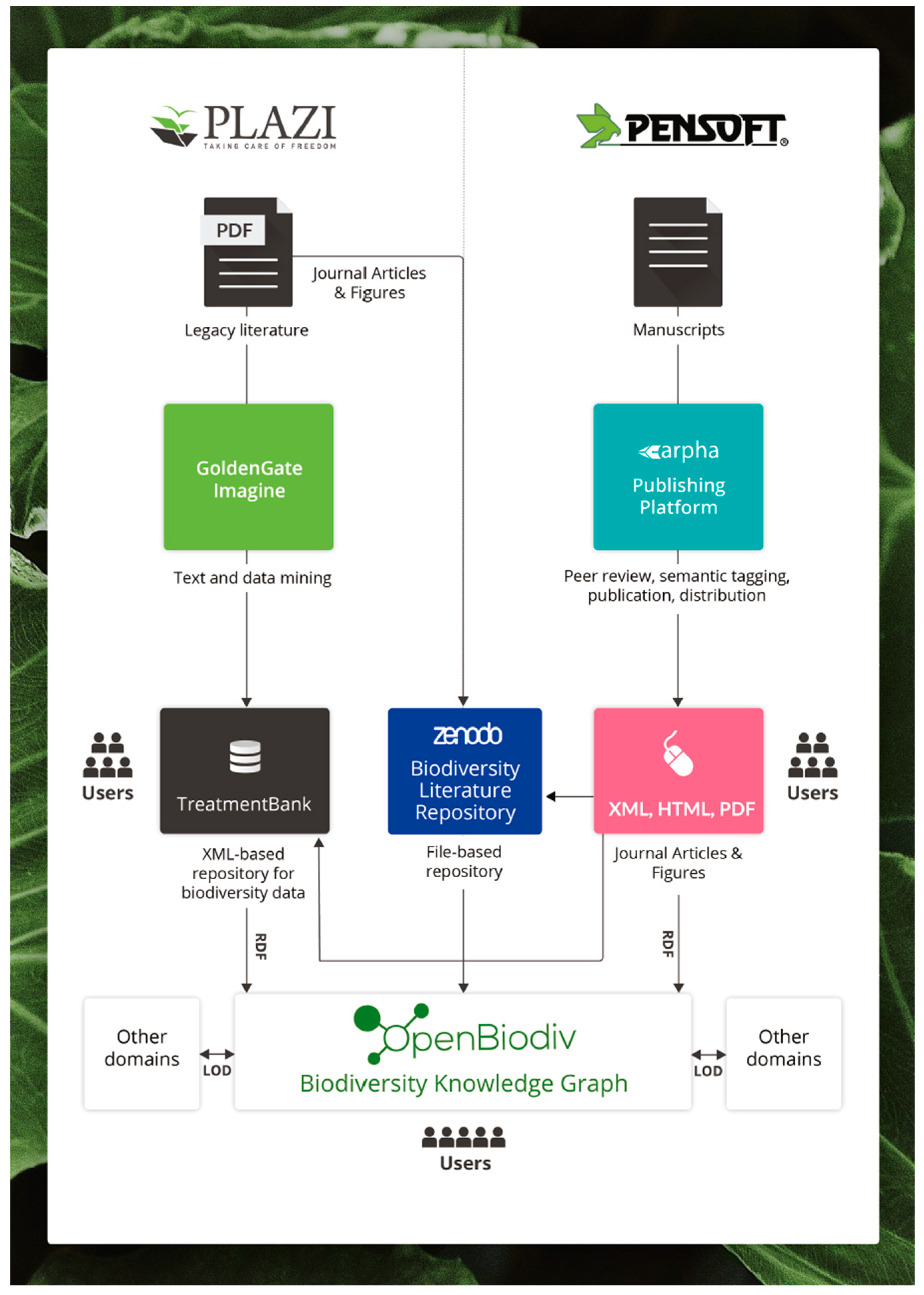 Publications 07 00038 g002 Publications 07 00038 g002