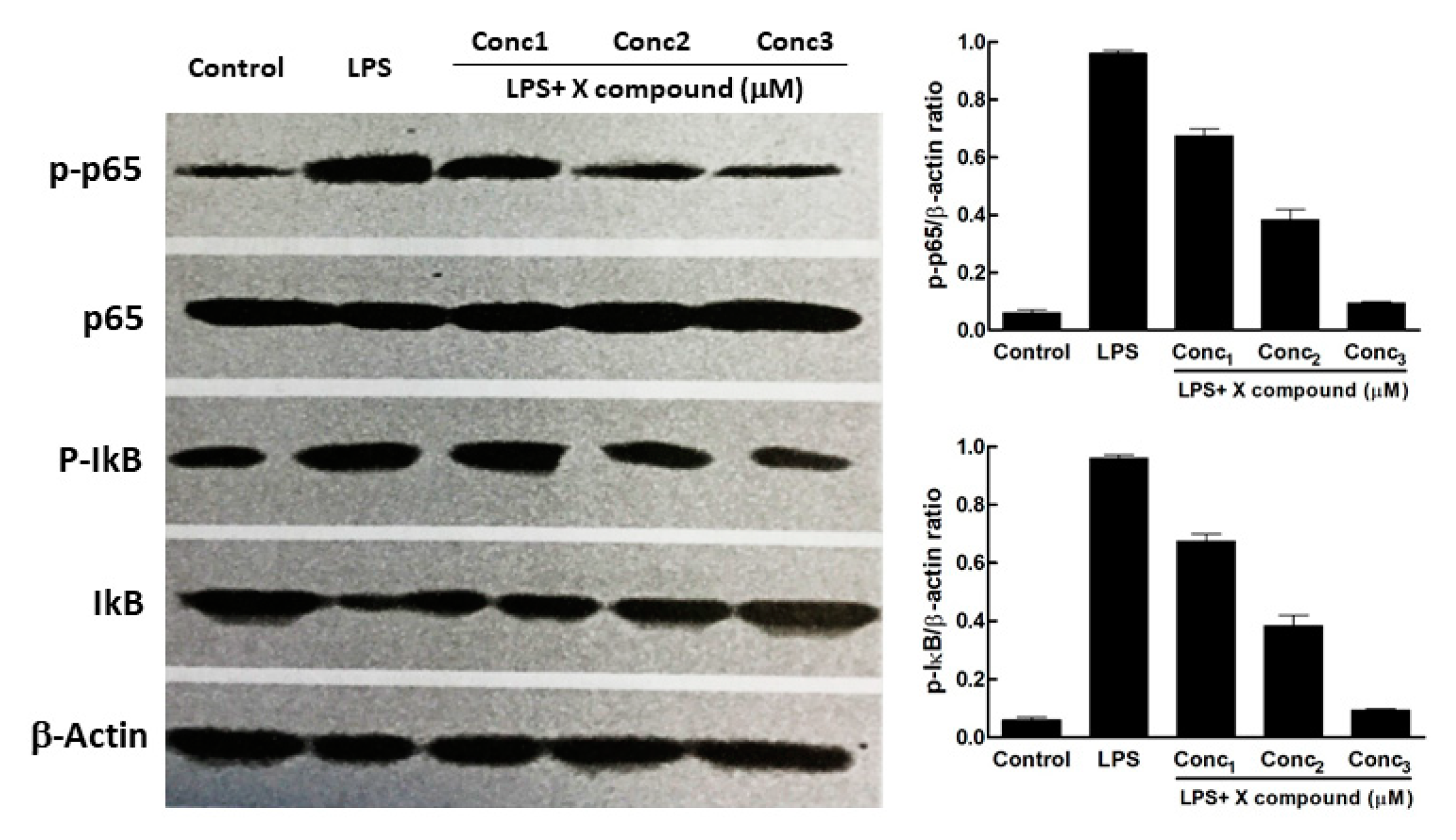 Publications 07 00067 g003 Publications 07 00067 g003