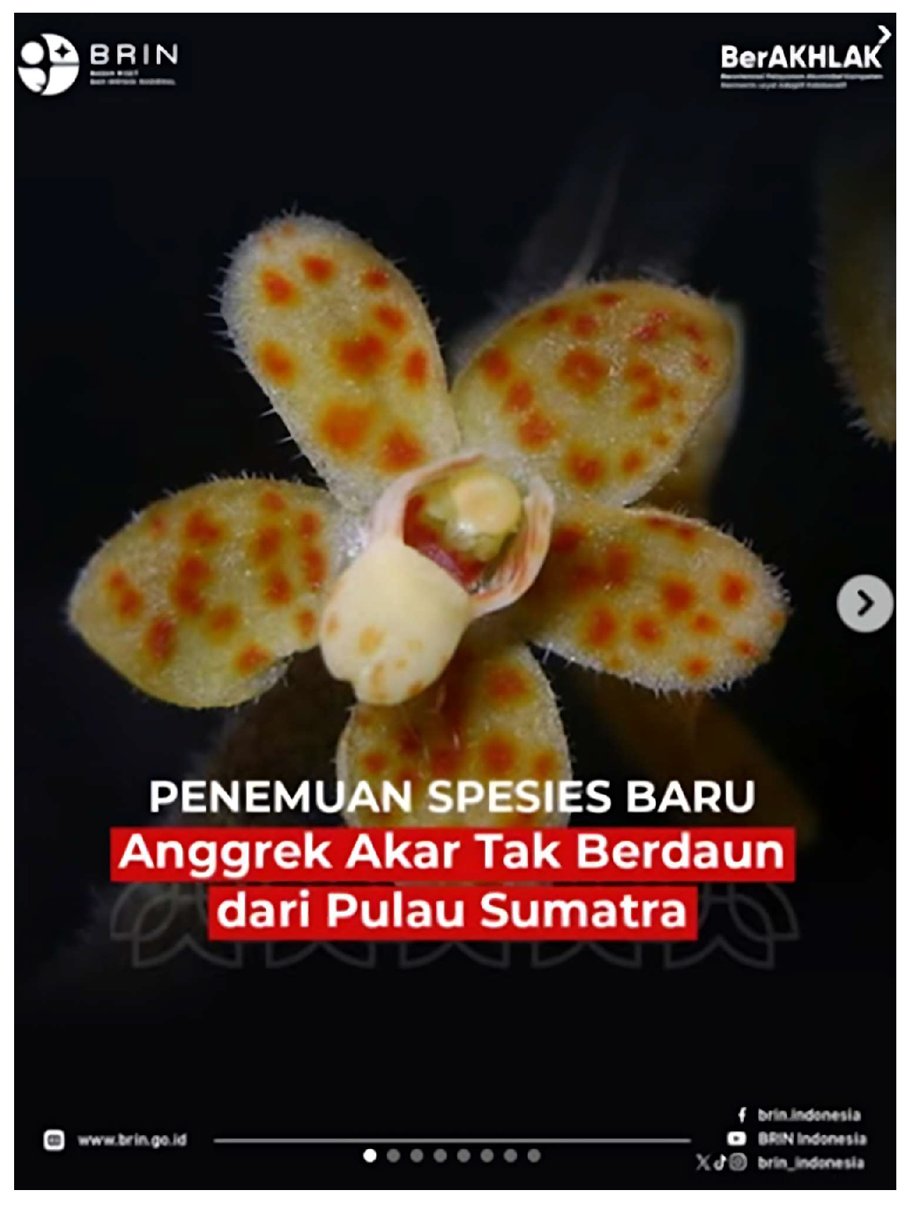 Publications 13 00045 g001 Publications 13 00045 g001