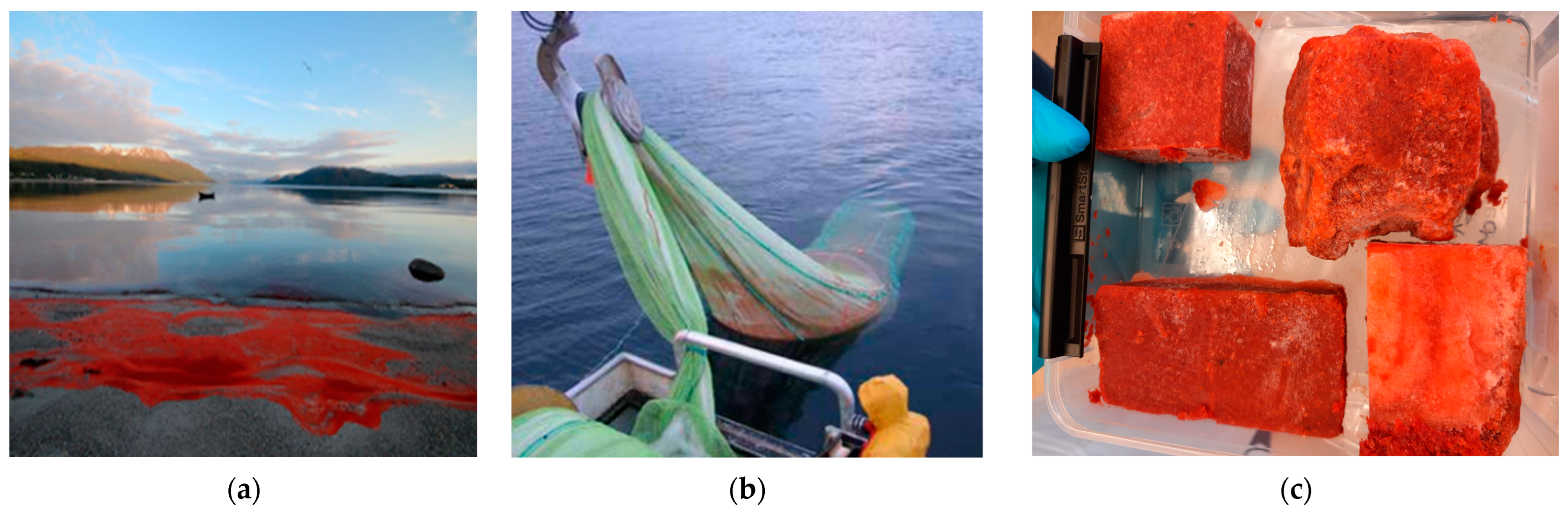 Purification 01 00002 g002