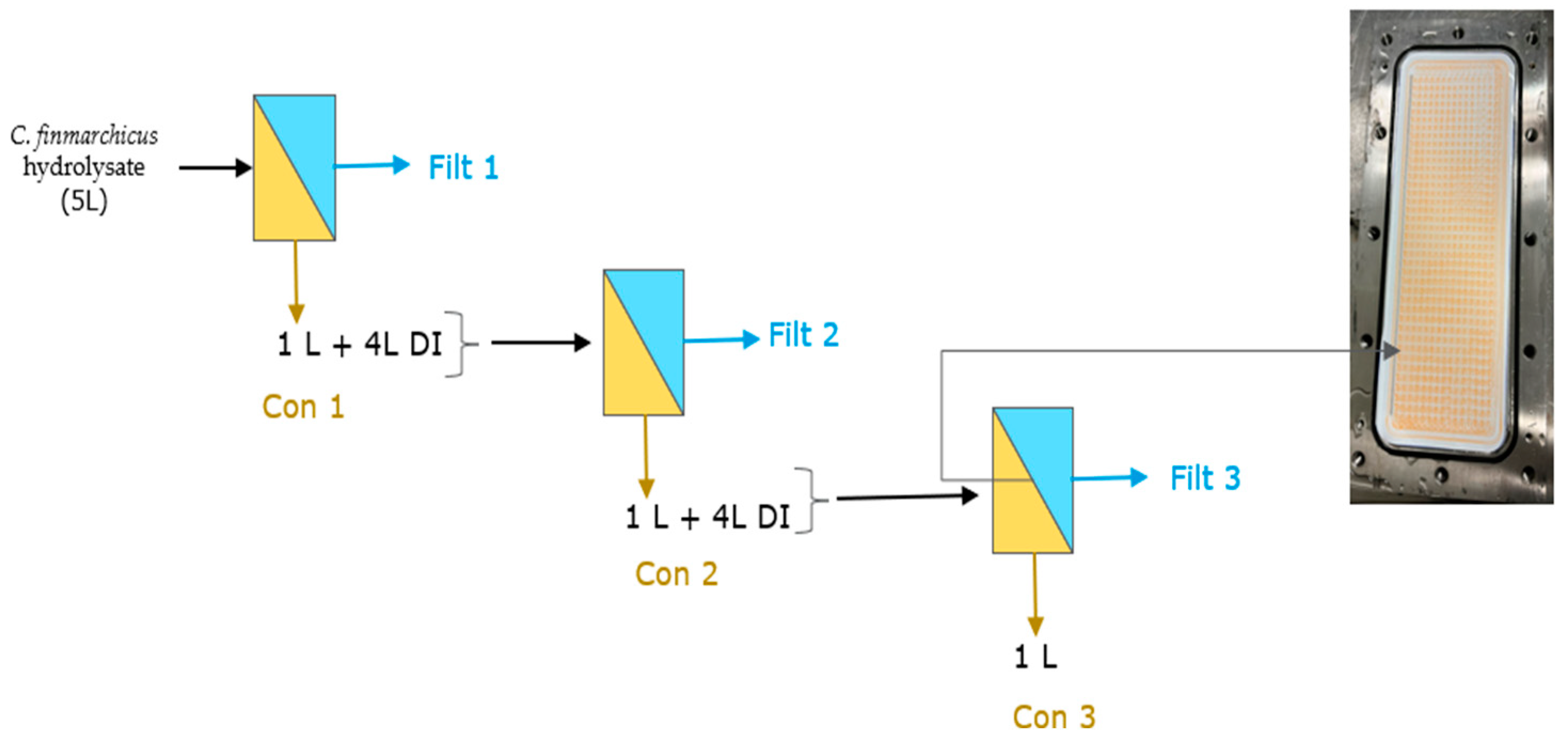 Purification 01 00002 g004