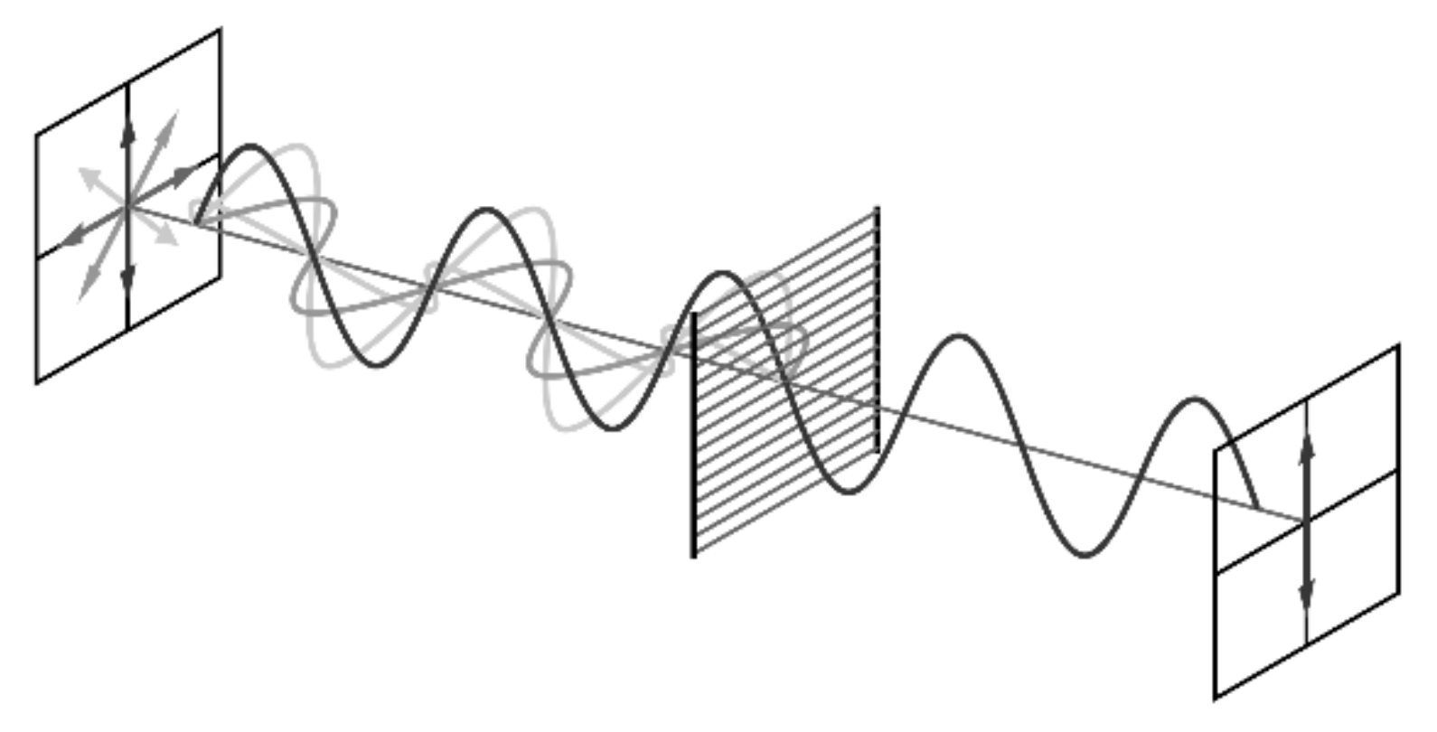 Quantumrep 02 00014 g002