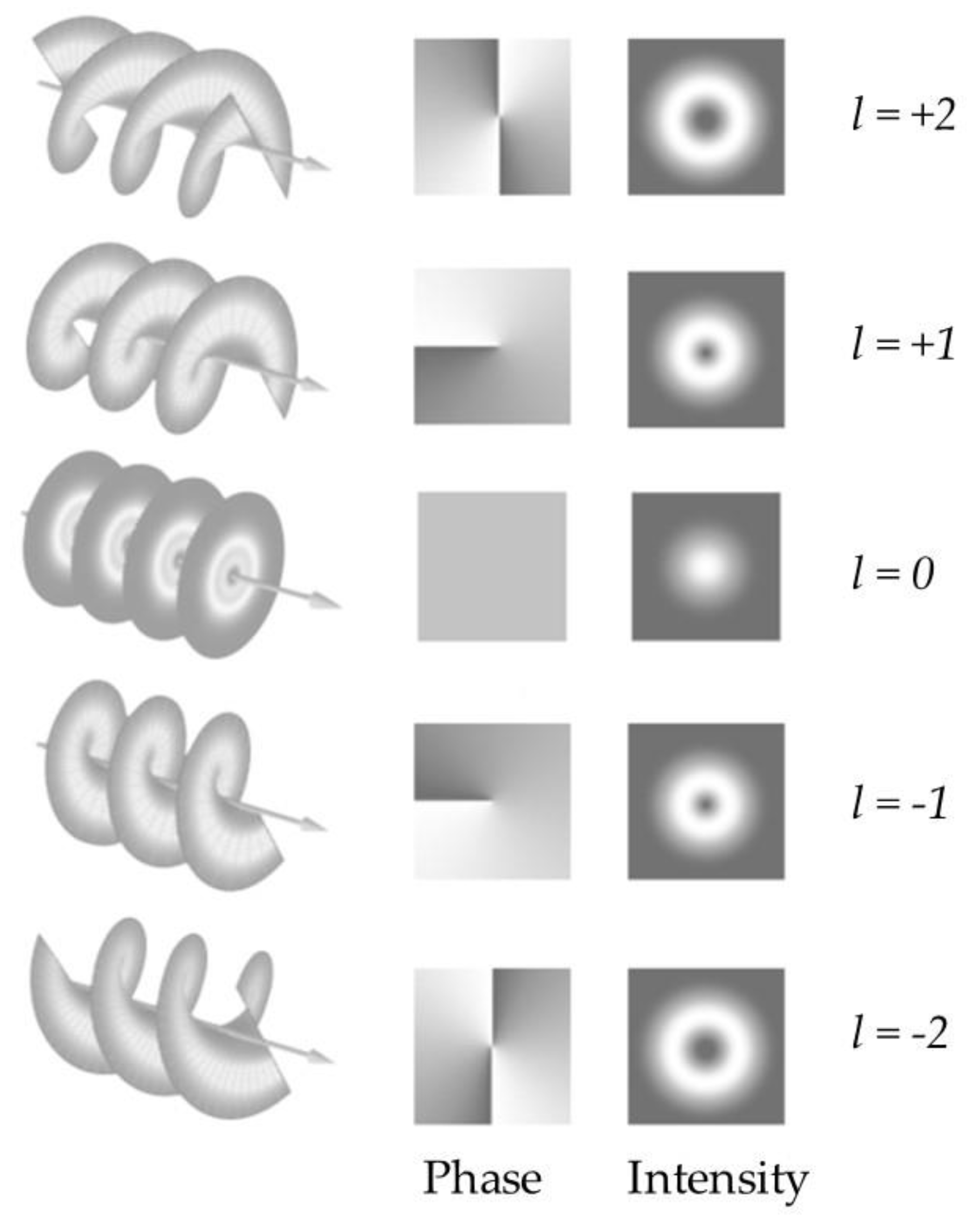 Quantumrep 02 00040 g003 Quantumrep 02 00040 g003