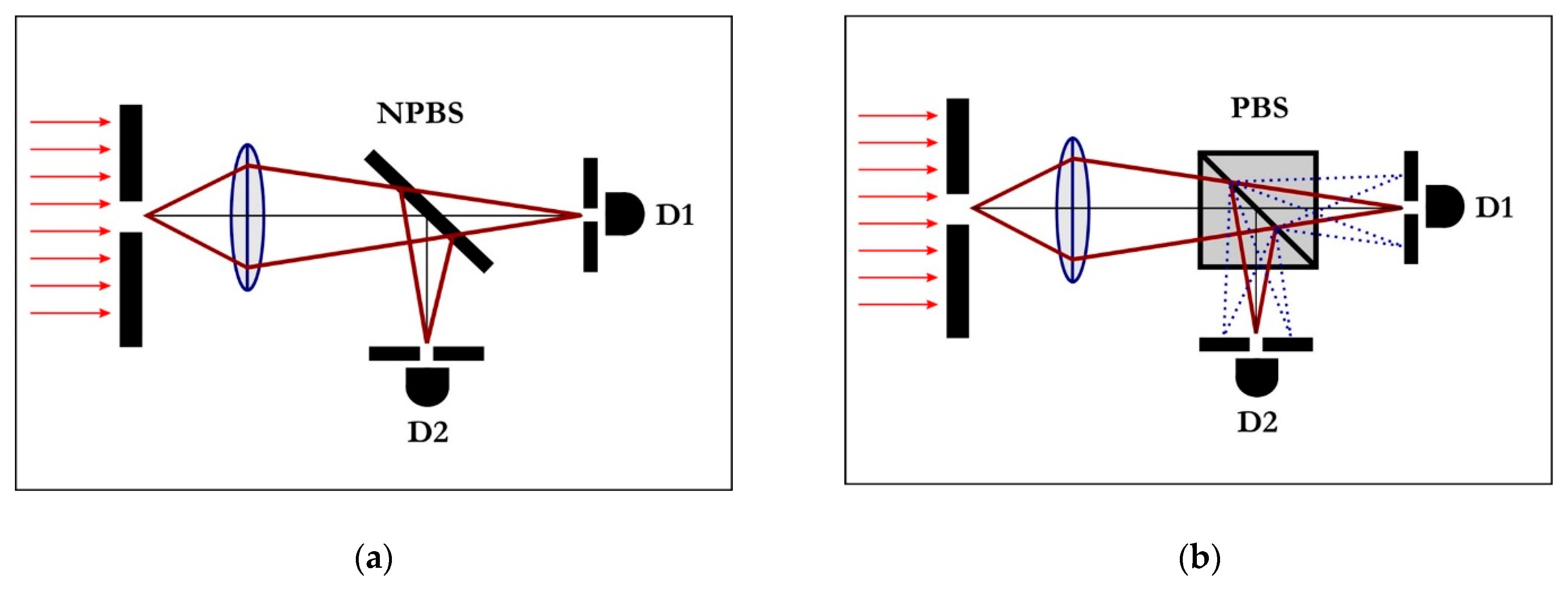 Quantumrep 03 00004 g001
