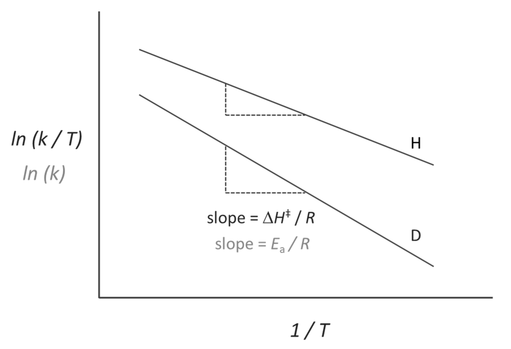 Quantum Reports | Free Full-Text | Quantum Biology: An Update and 