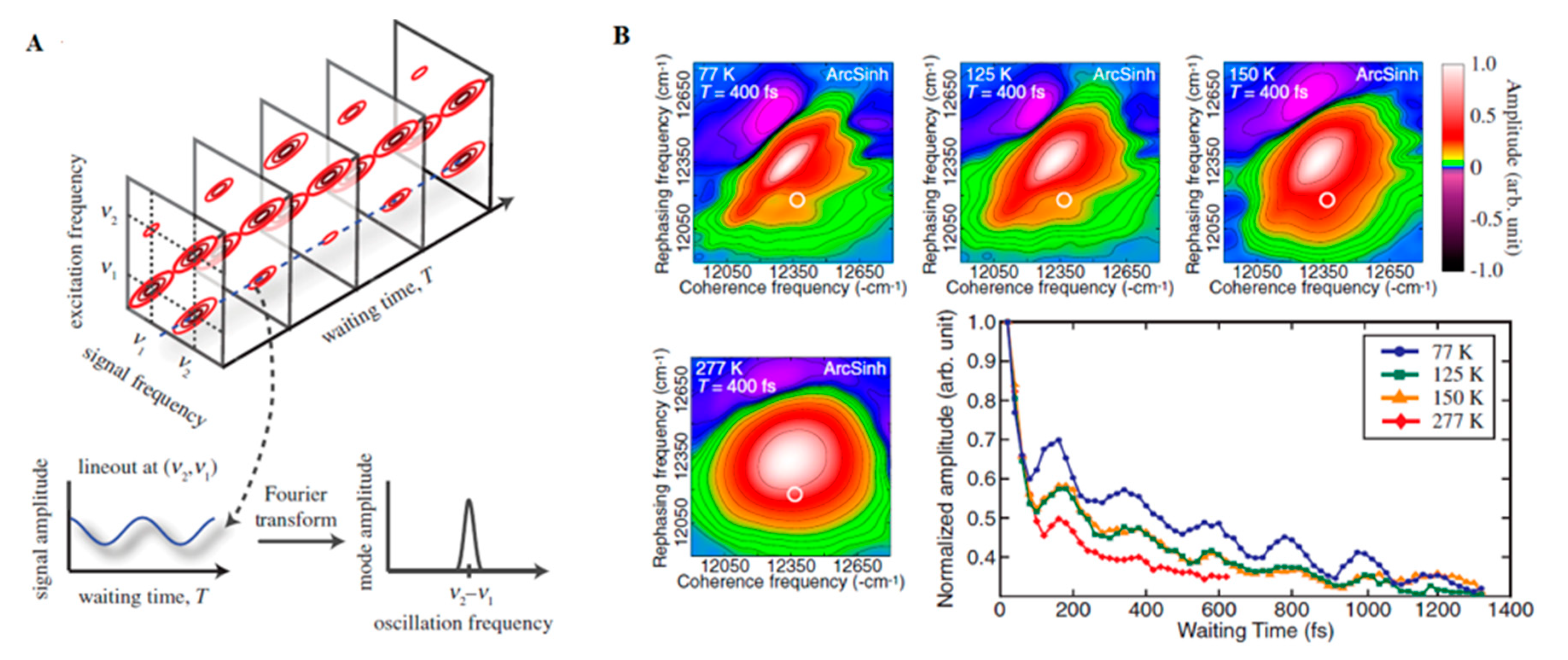 Quantum Reports | Free Full-Text | Quantum Biology: An Update and 