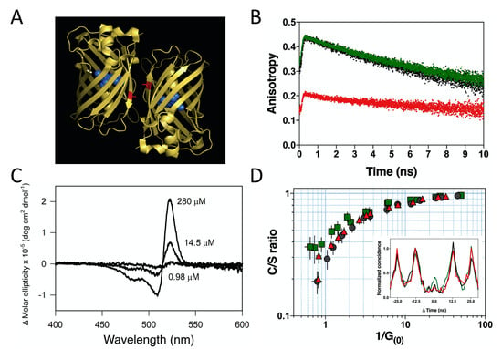 Quantum Reports Free Full Text Quantum Biology An Update And Perspective Html