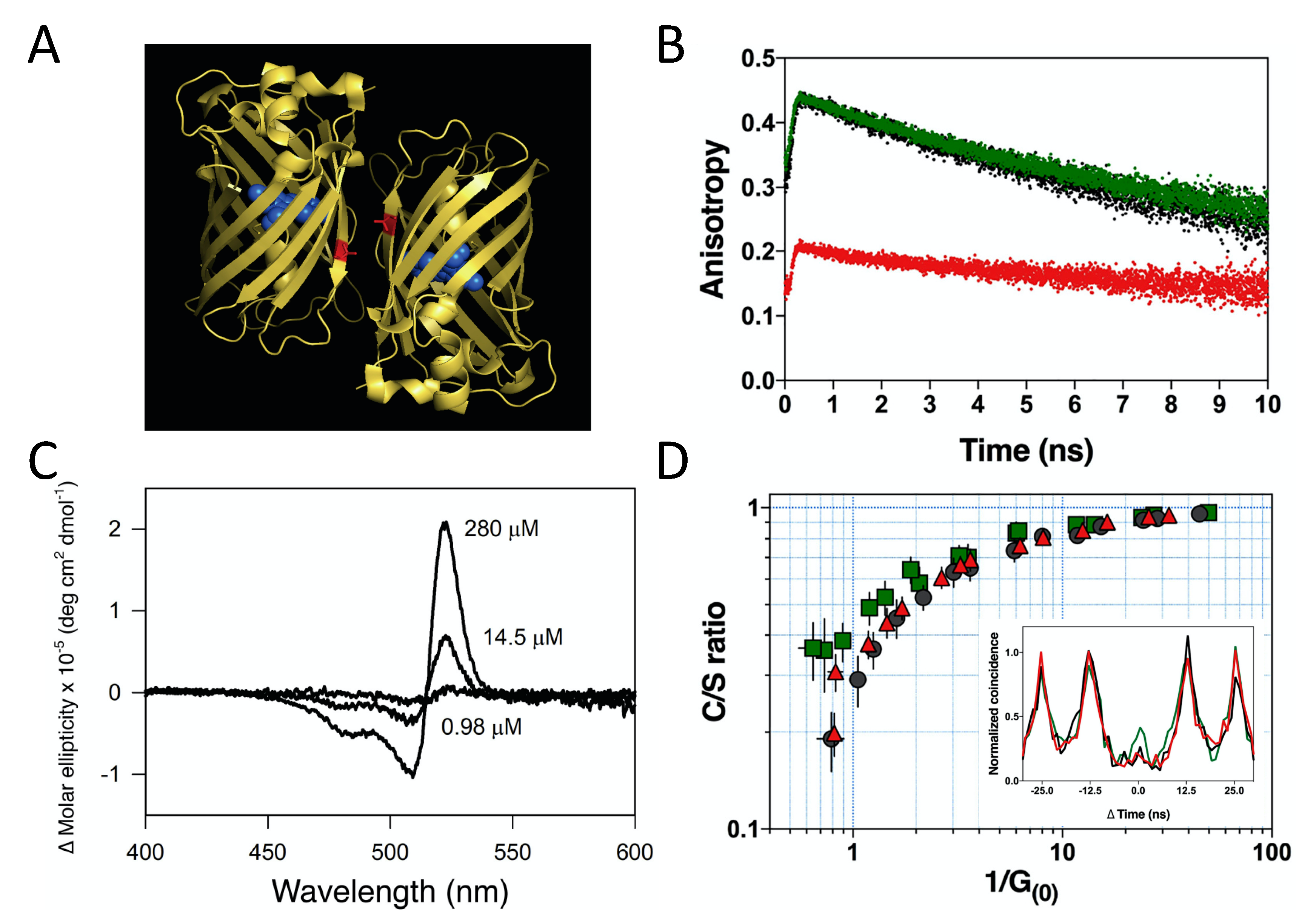 Quantum Reports | Free Full-Text | Quantum Biology: An Update and 