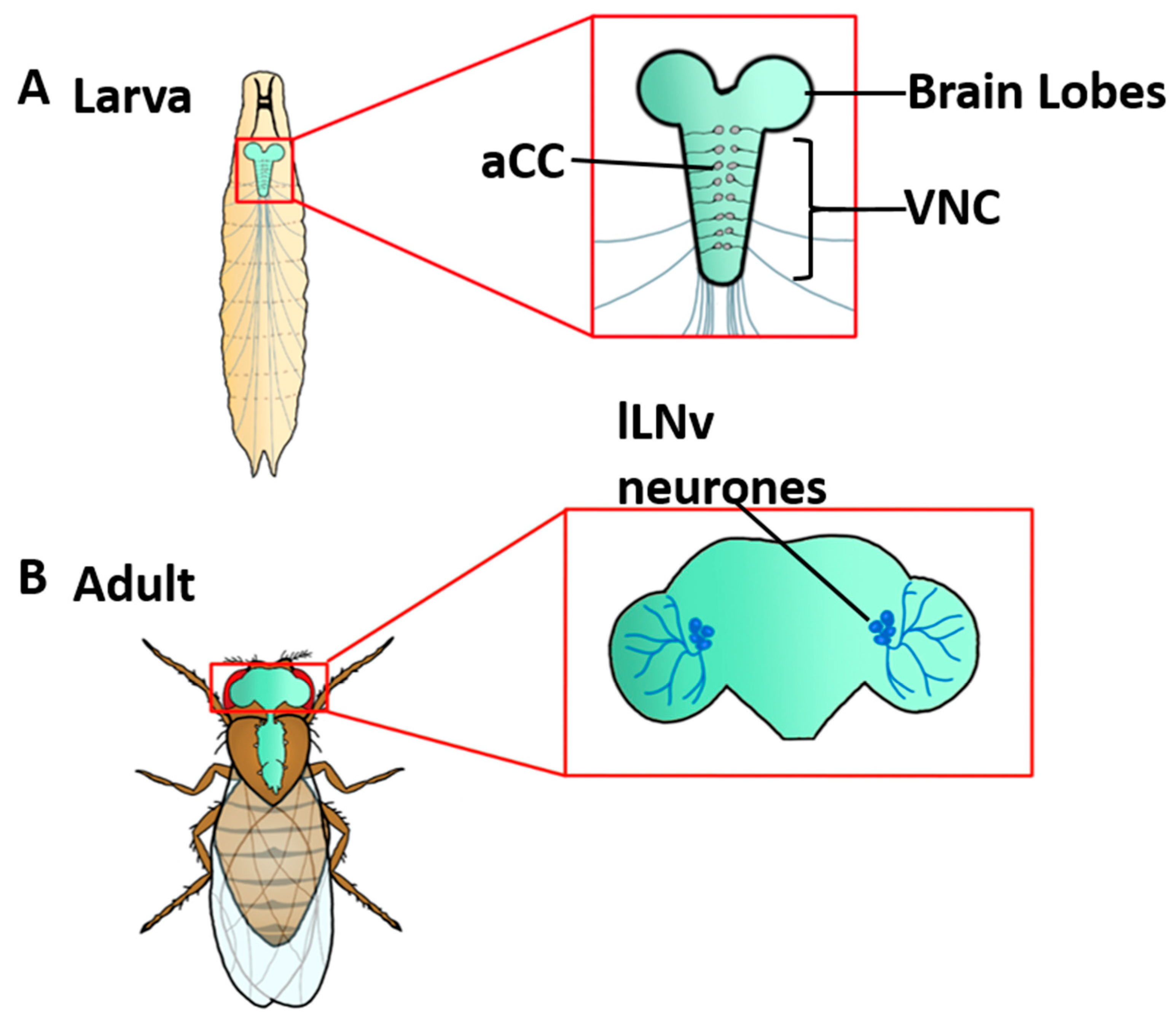 Quantumrep 03 00007 g001
