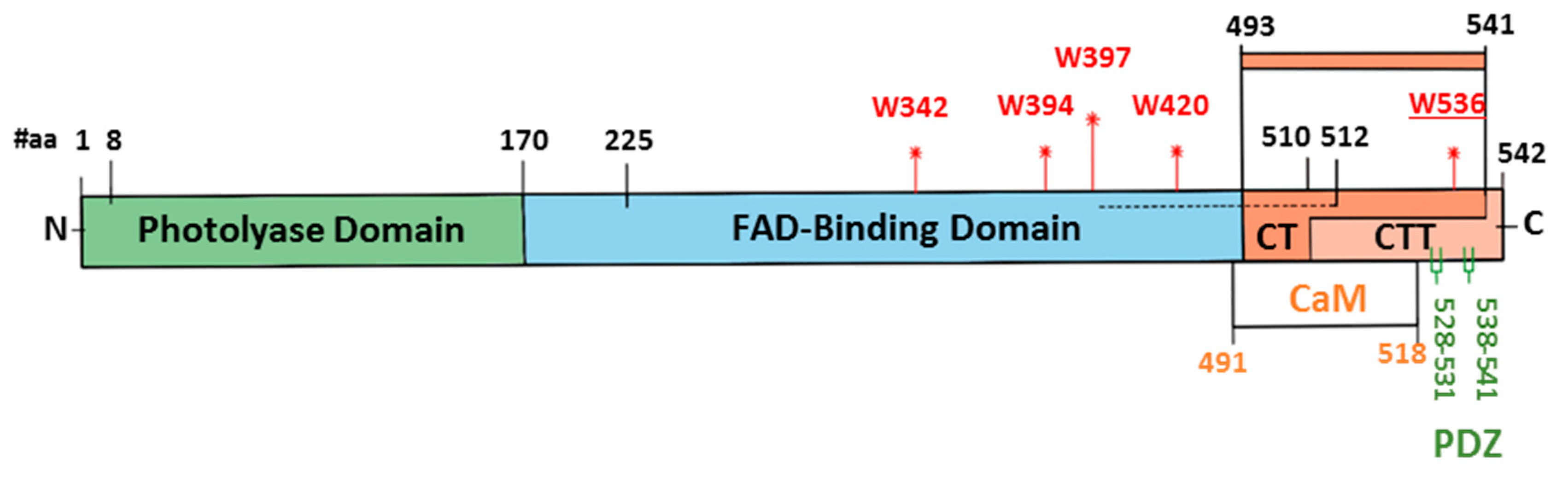 Quantumrep 03 00007 g002