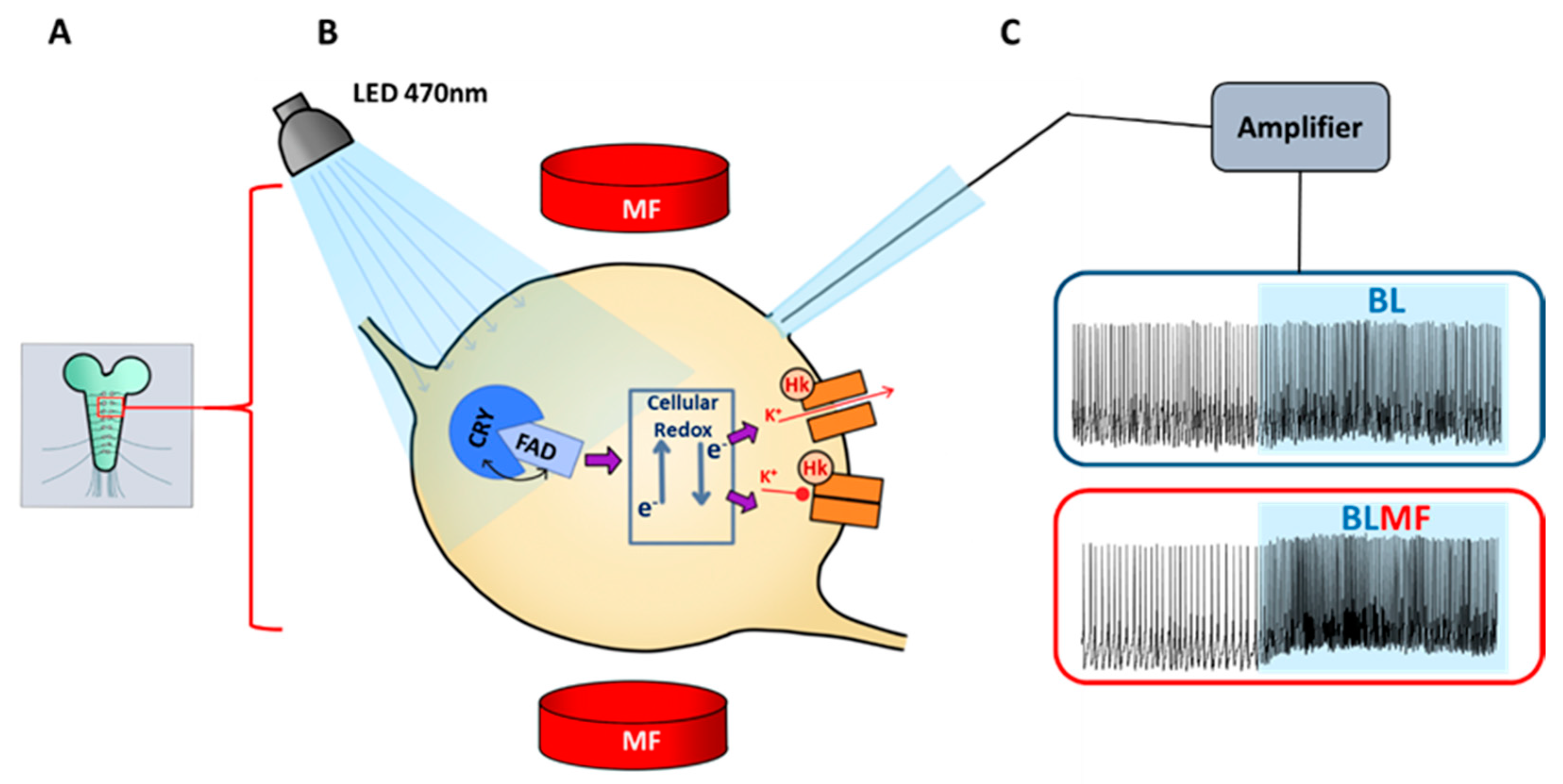 Quantumrep 03 00007 g003