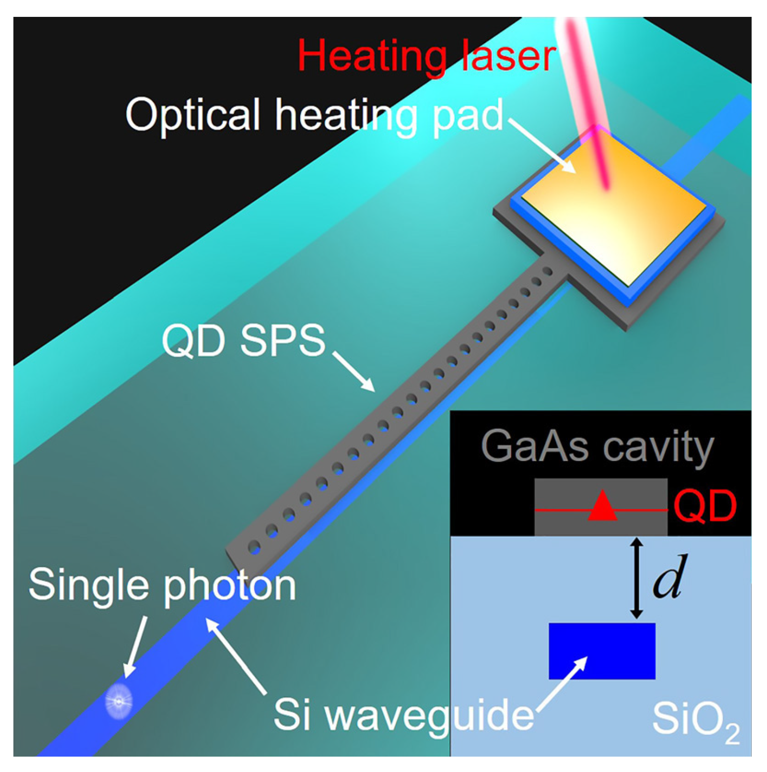 Quantumrep 03 00039 g011 550