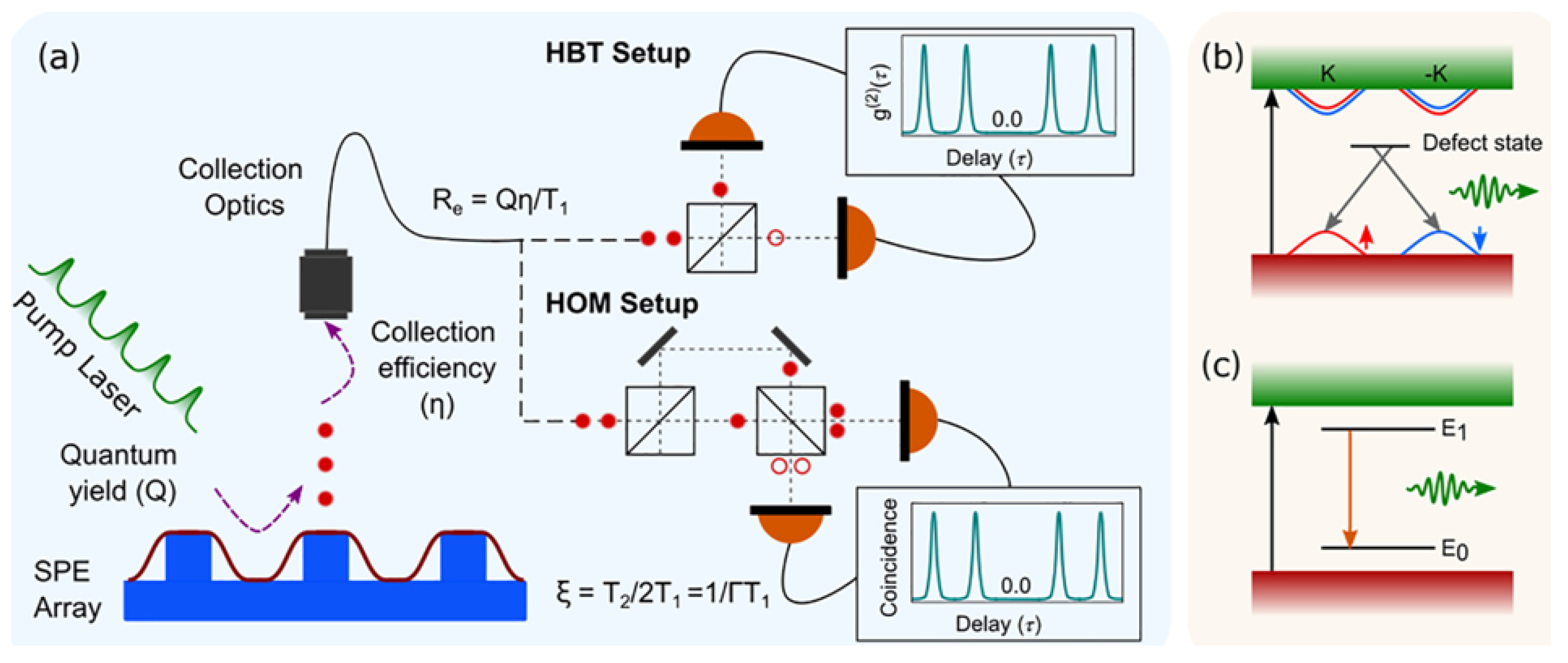 Quantumrep 03 00039 g013 550