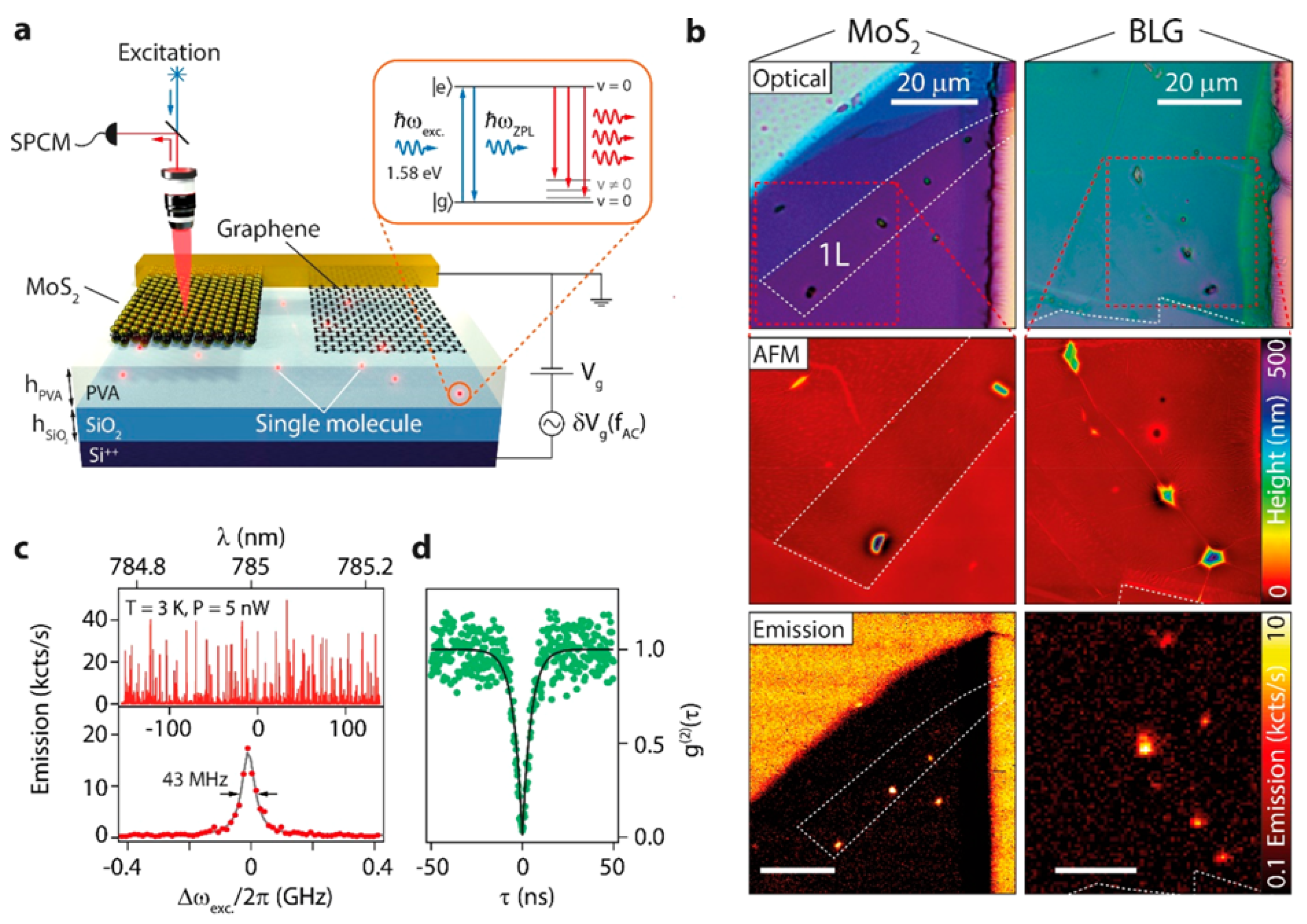Quantumrep 03 00039 g017 550
