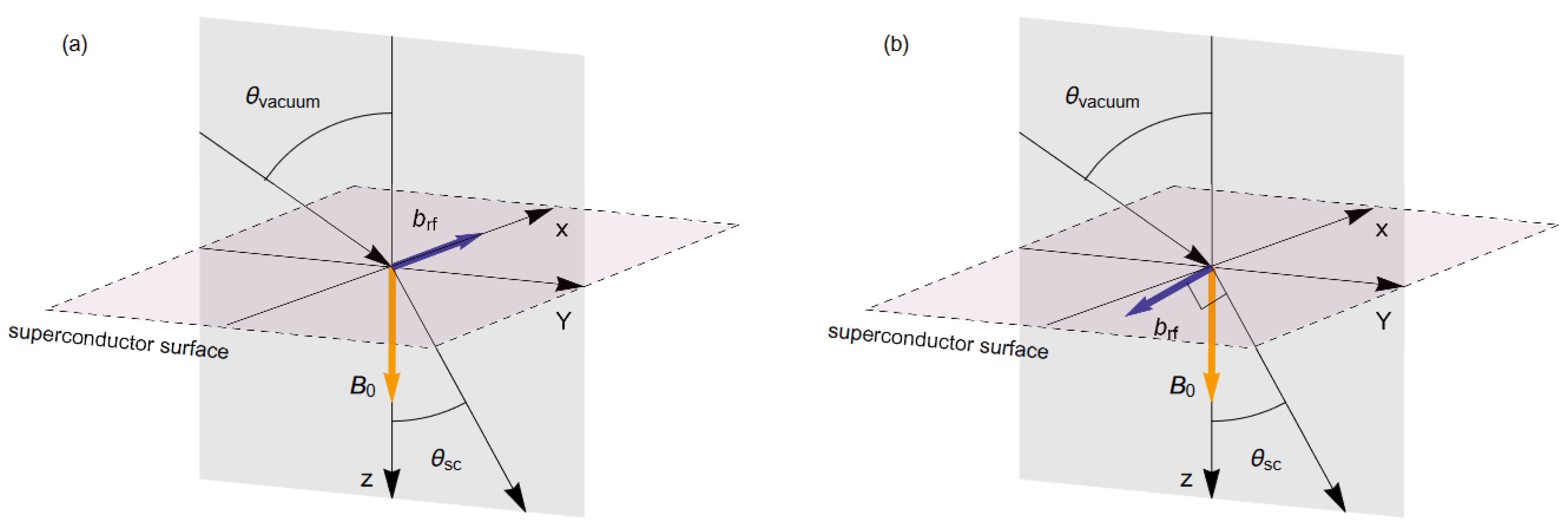 Quantumrep 03 00046 g001