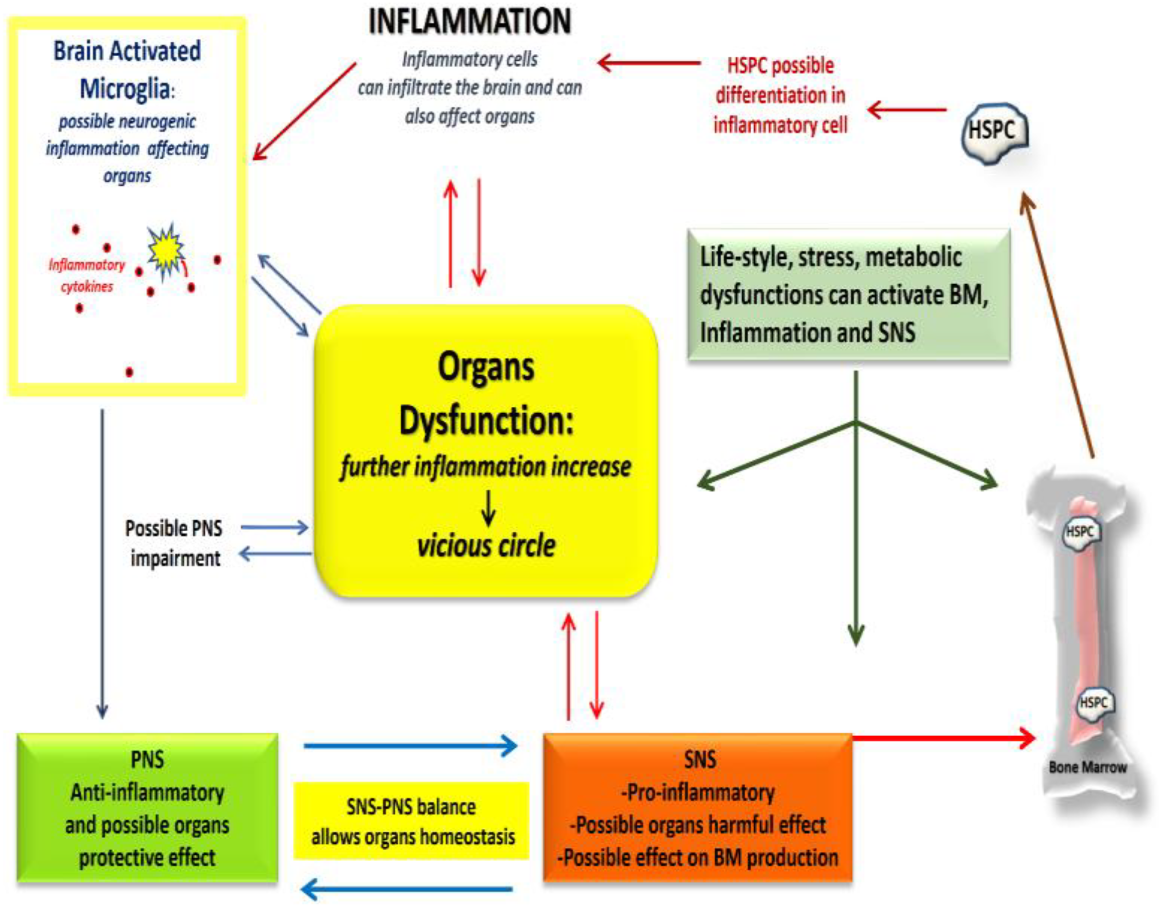 Quantumrep 04 00011 g001