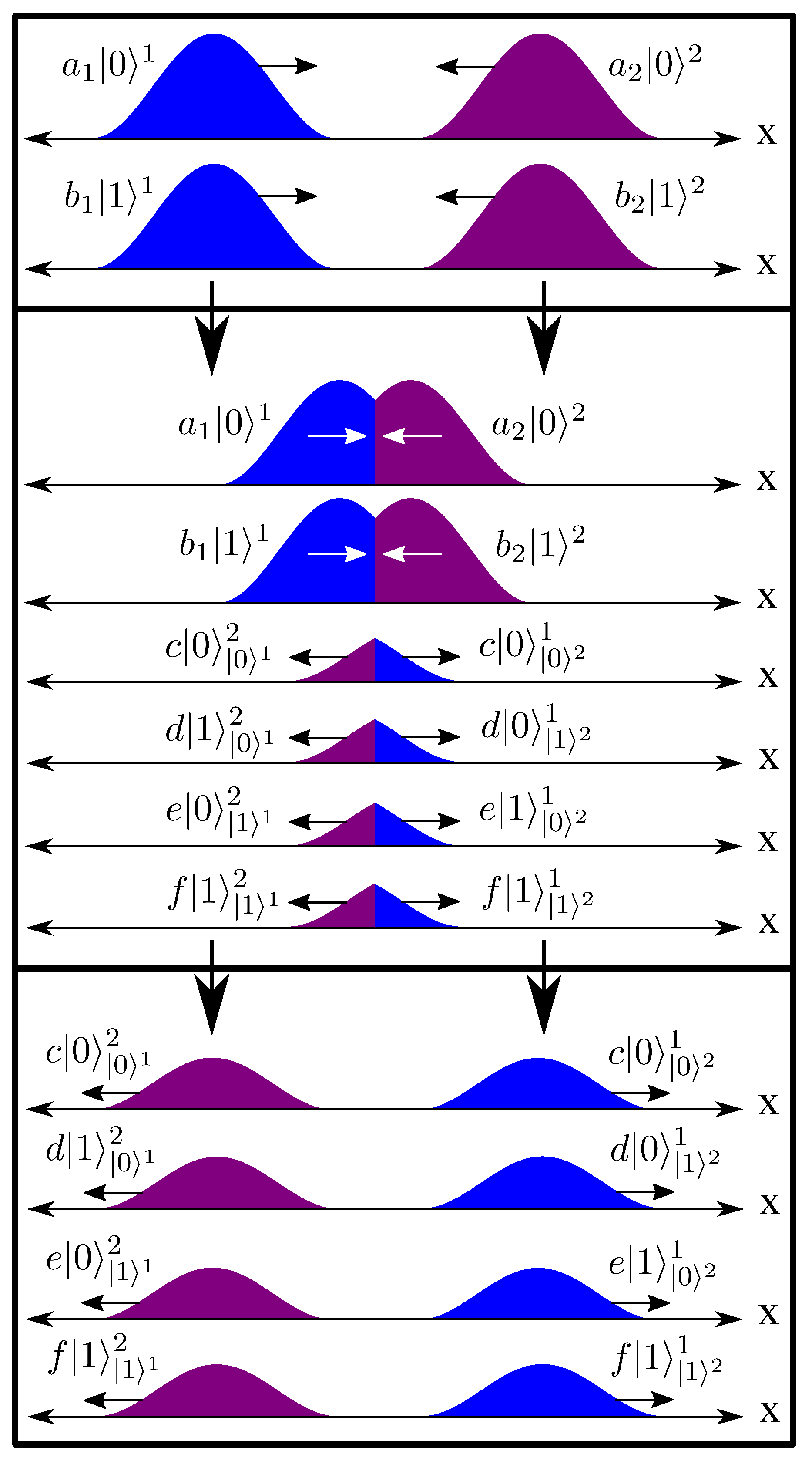 Quantumrep 05 00011 g004