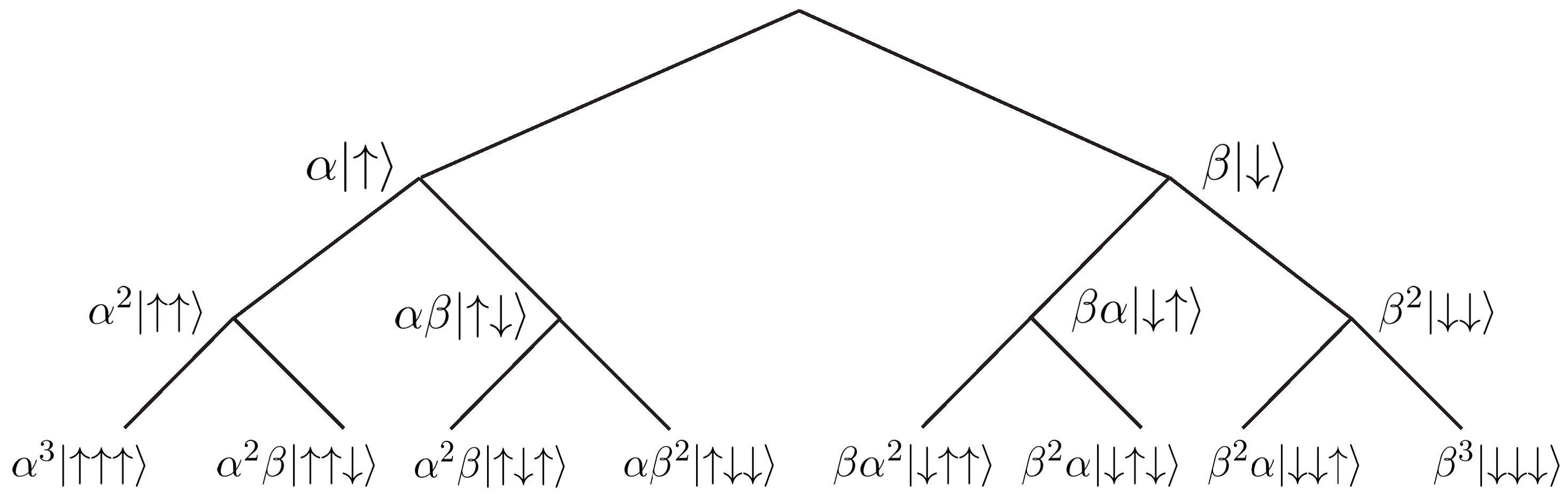 Quantumrep 05 00026 g002