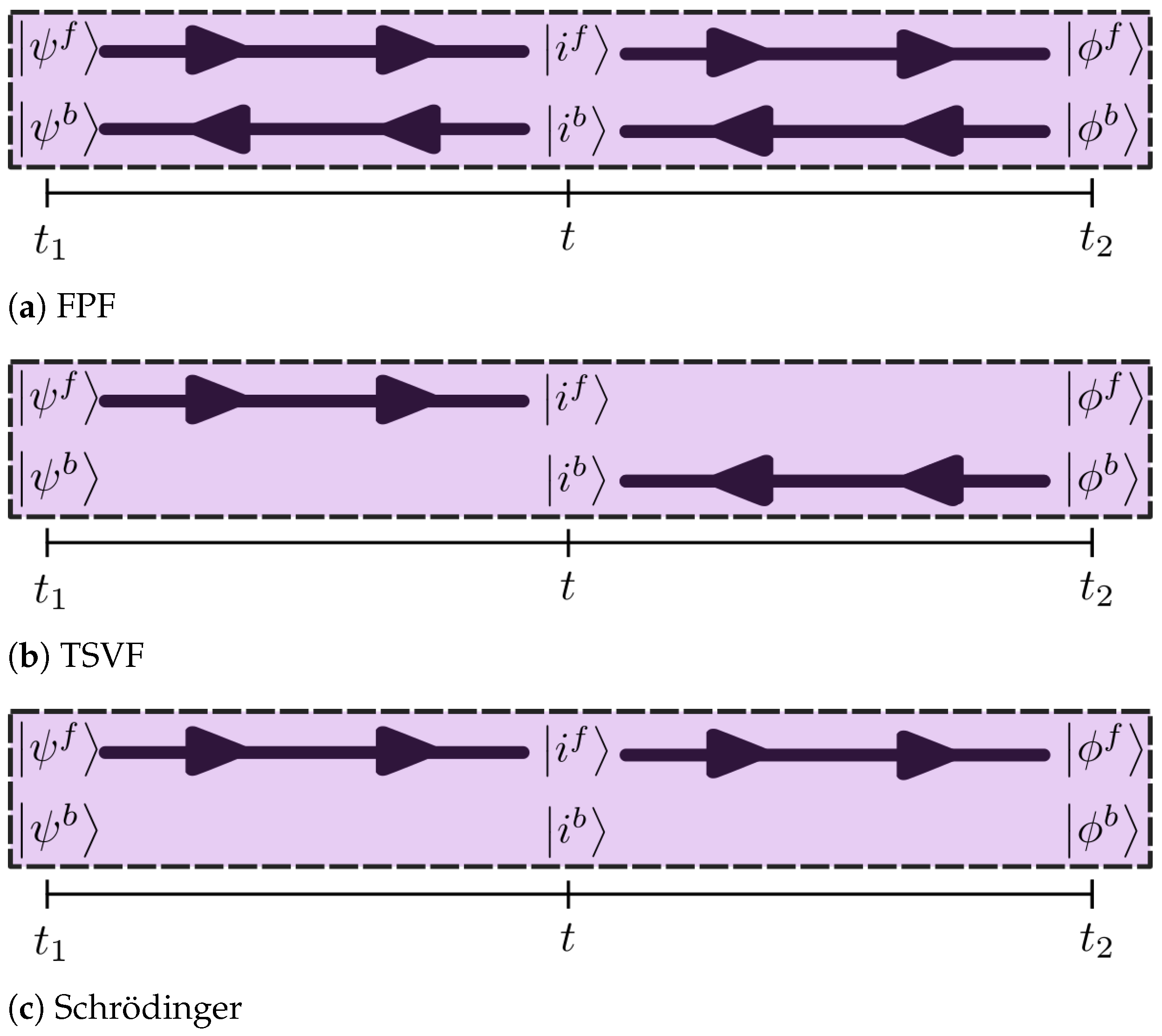 Quantumrep 05 00033 g005 Quantumrep 05 00033 g005