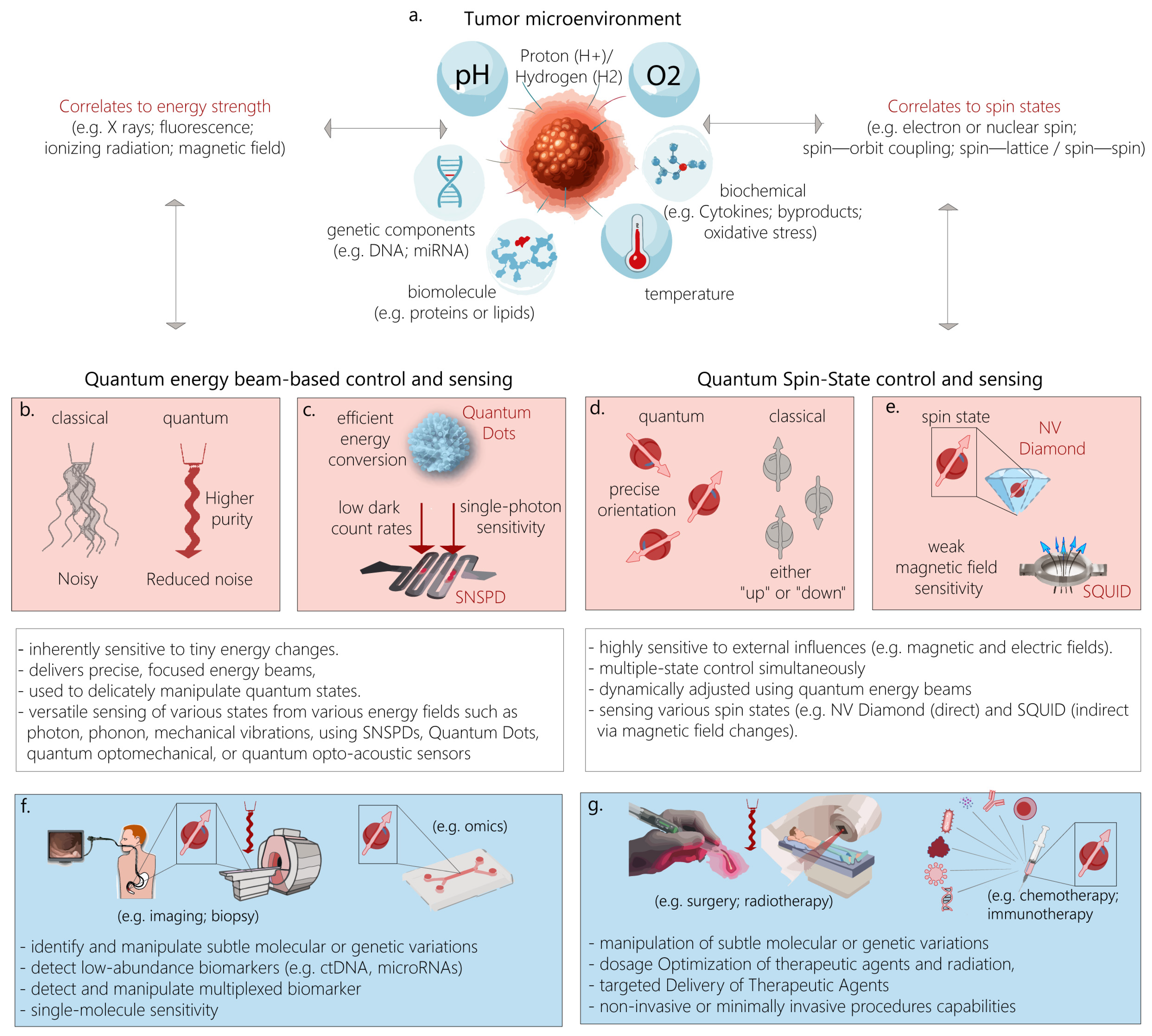Quantumrep 07 00009 g002 Quantumrep 07 00009 g002
