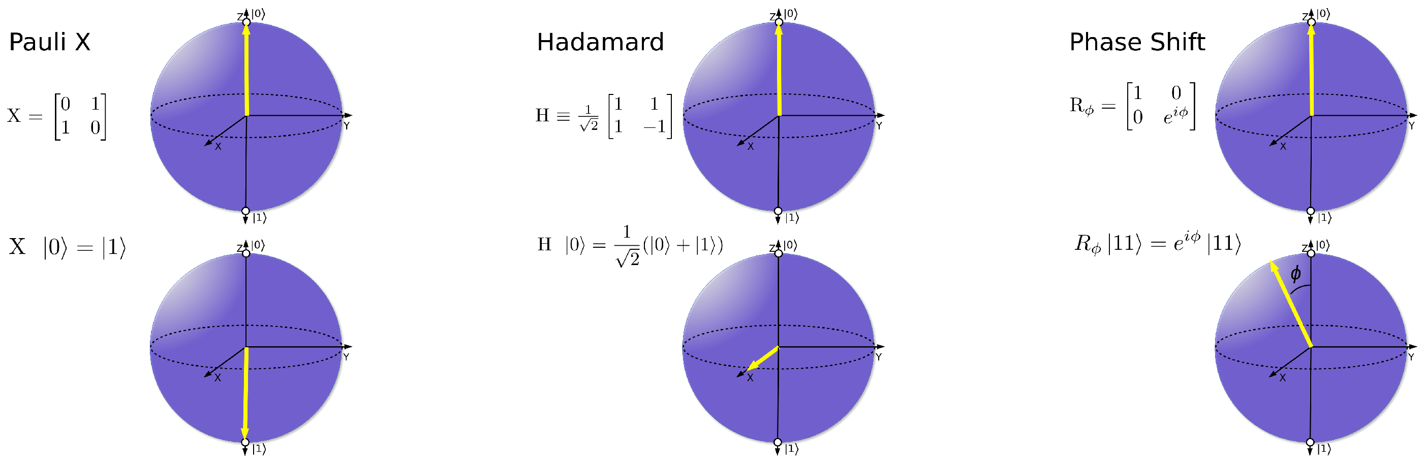 Quantumrep 07 00041 g002