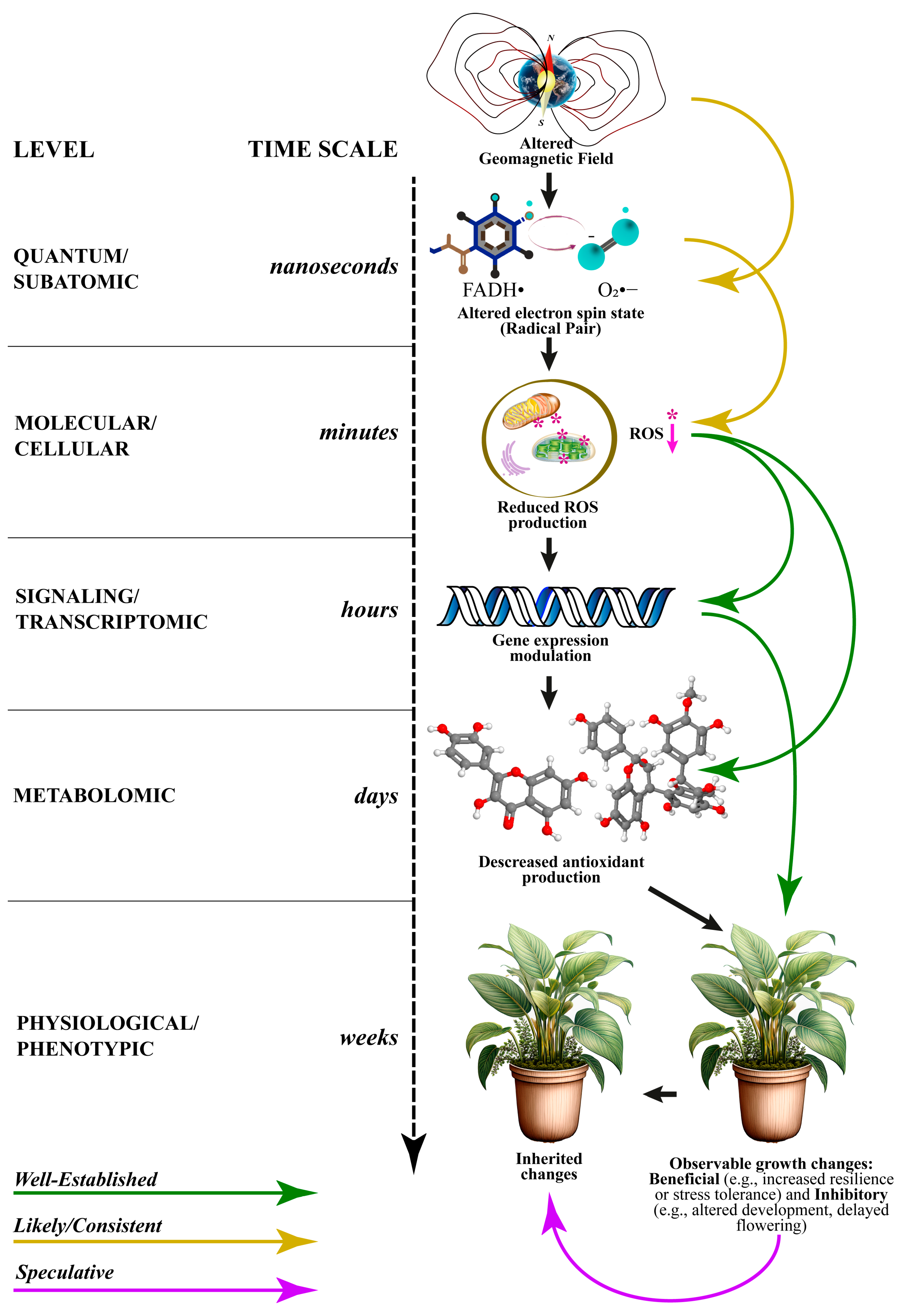 Quantumrep 07 00052 g001 Quantumrep 07 00052 g001