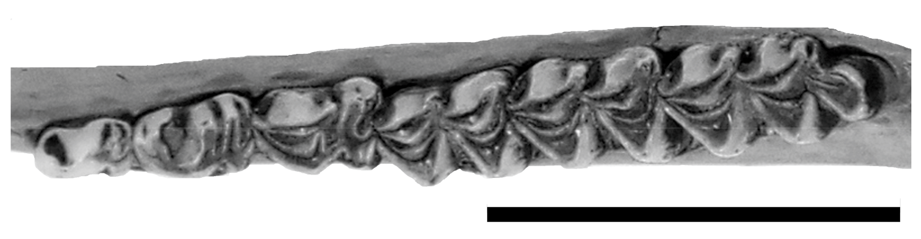 Quaternary 01 00004 g008