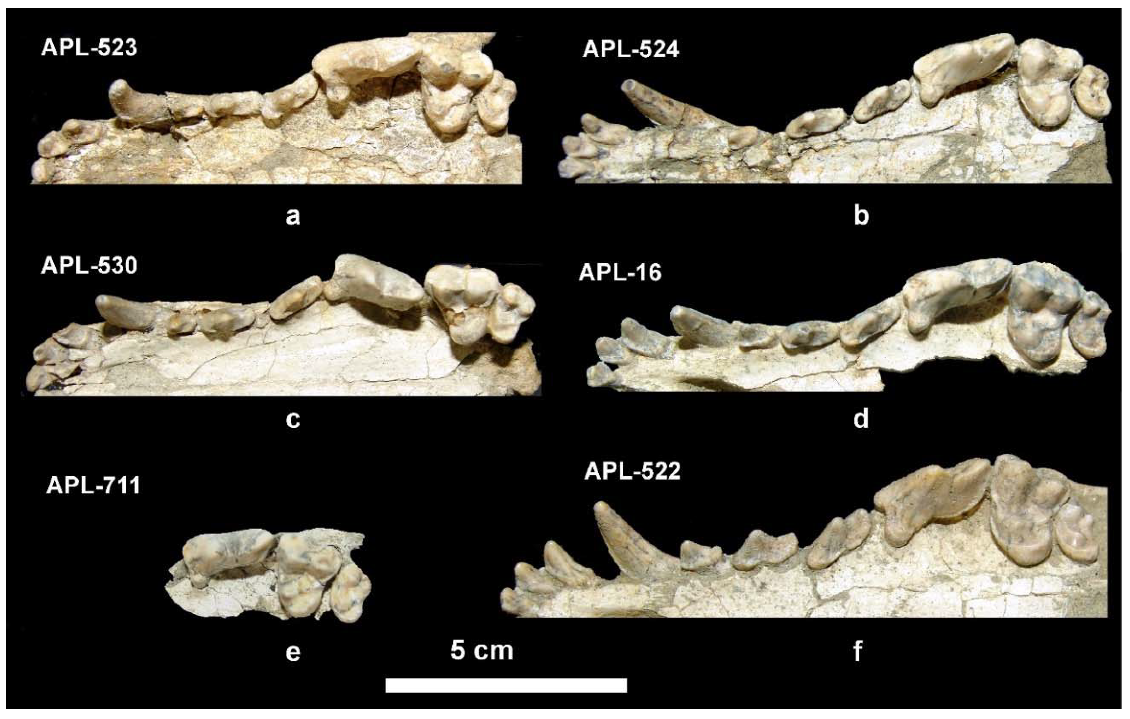 Quaternary 01 00006 g004 550