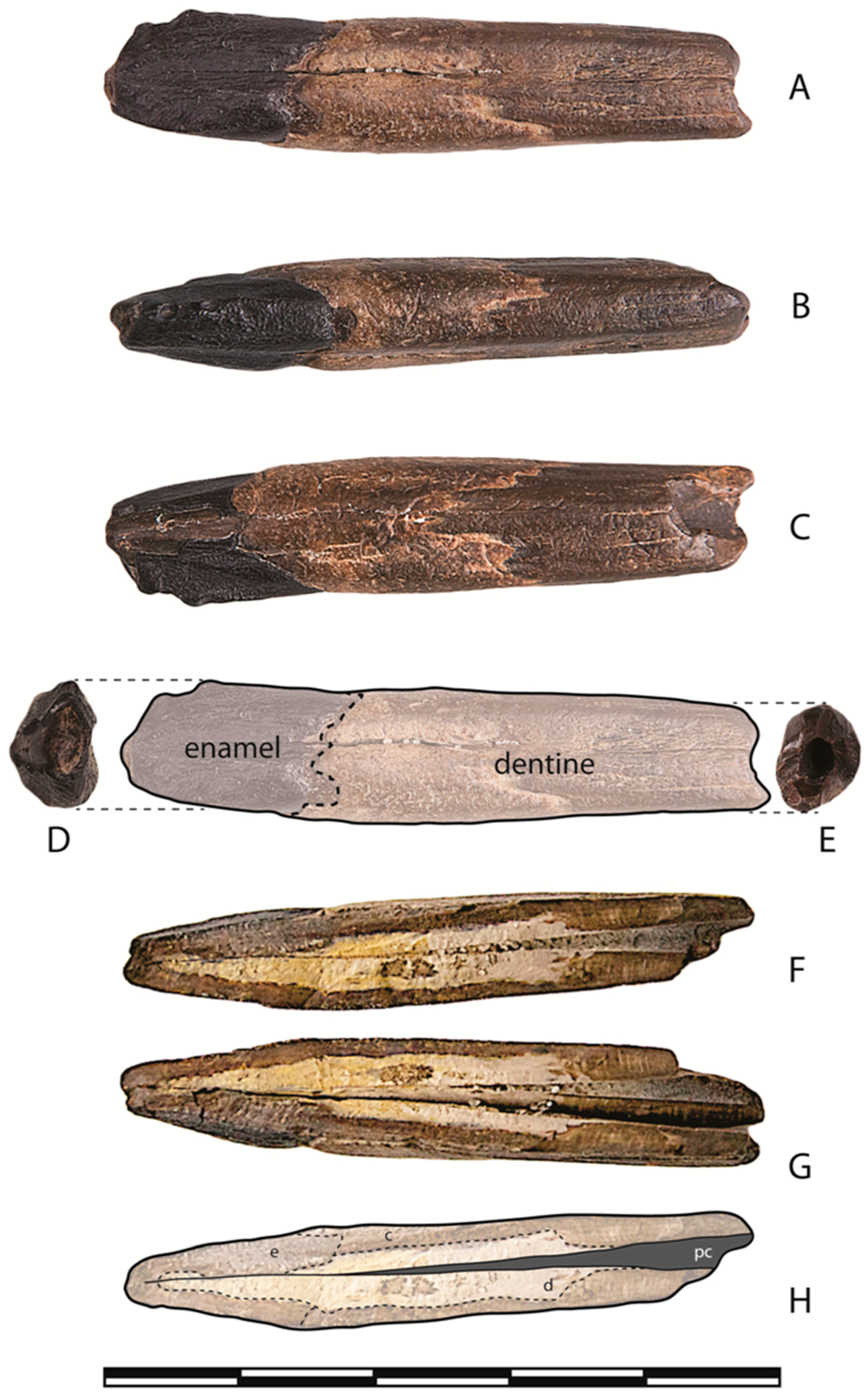 Quaternary 01 00007 g003