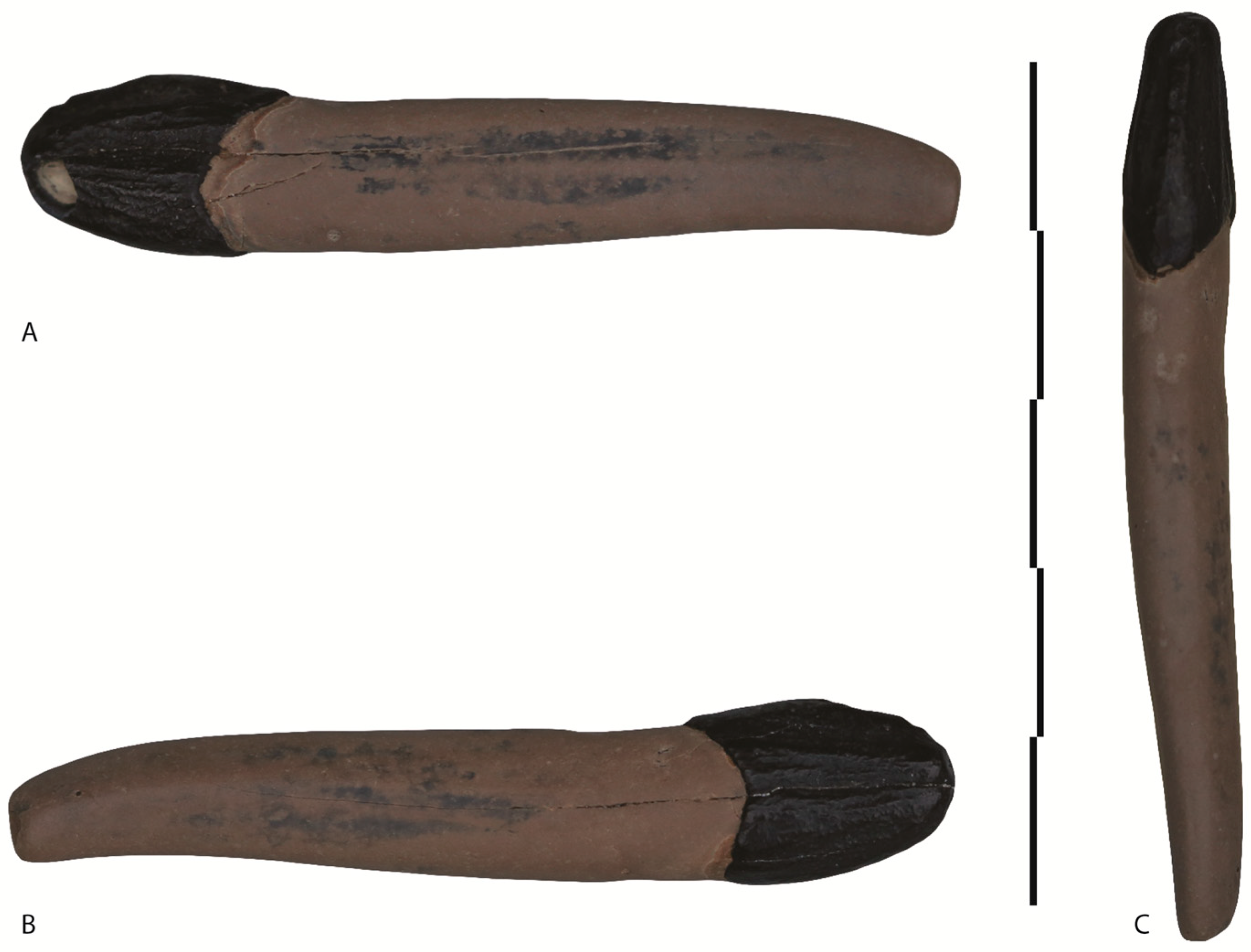 Quaternary 01 00007 g004
