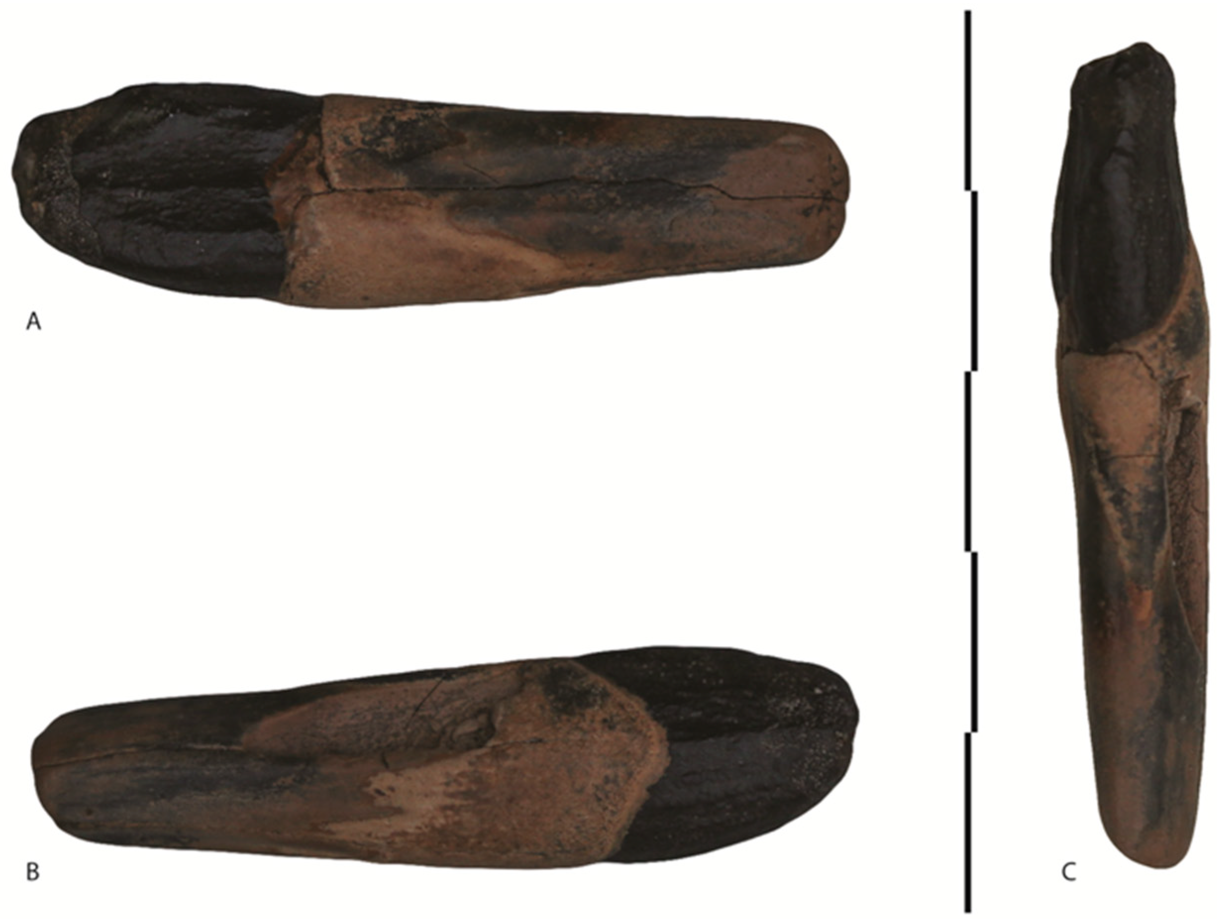 Quaternary 01 00007 g005