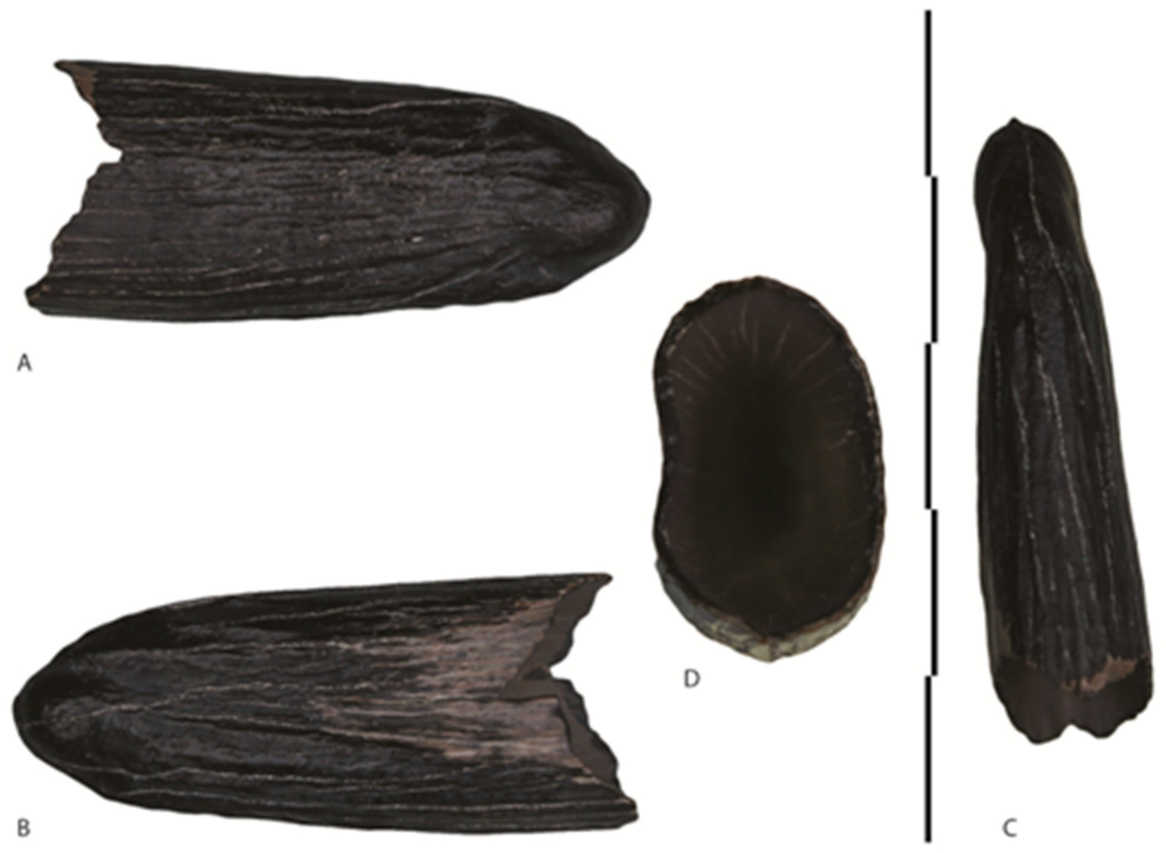 Quaternary 01 00007 g006