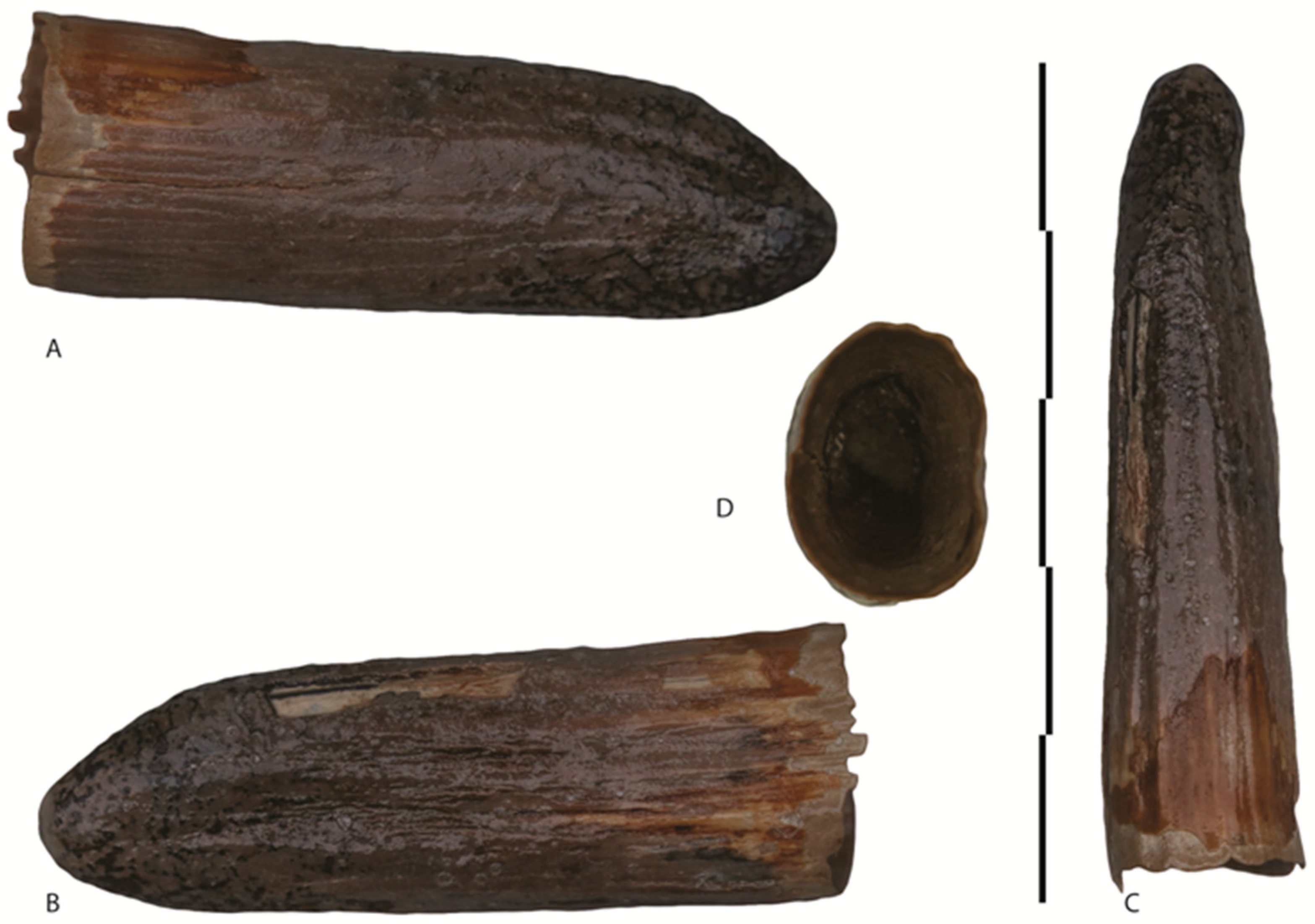 Quaternary 01 00007 g007