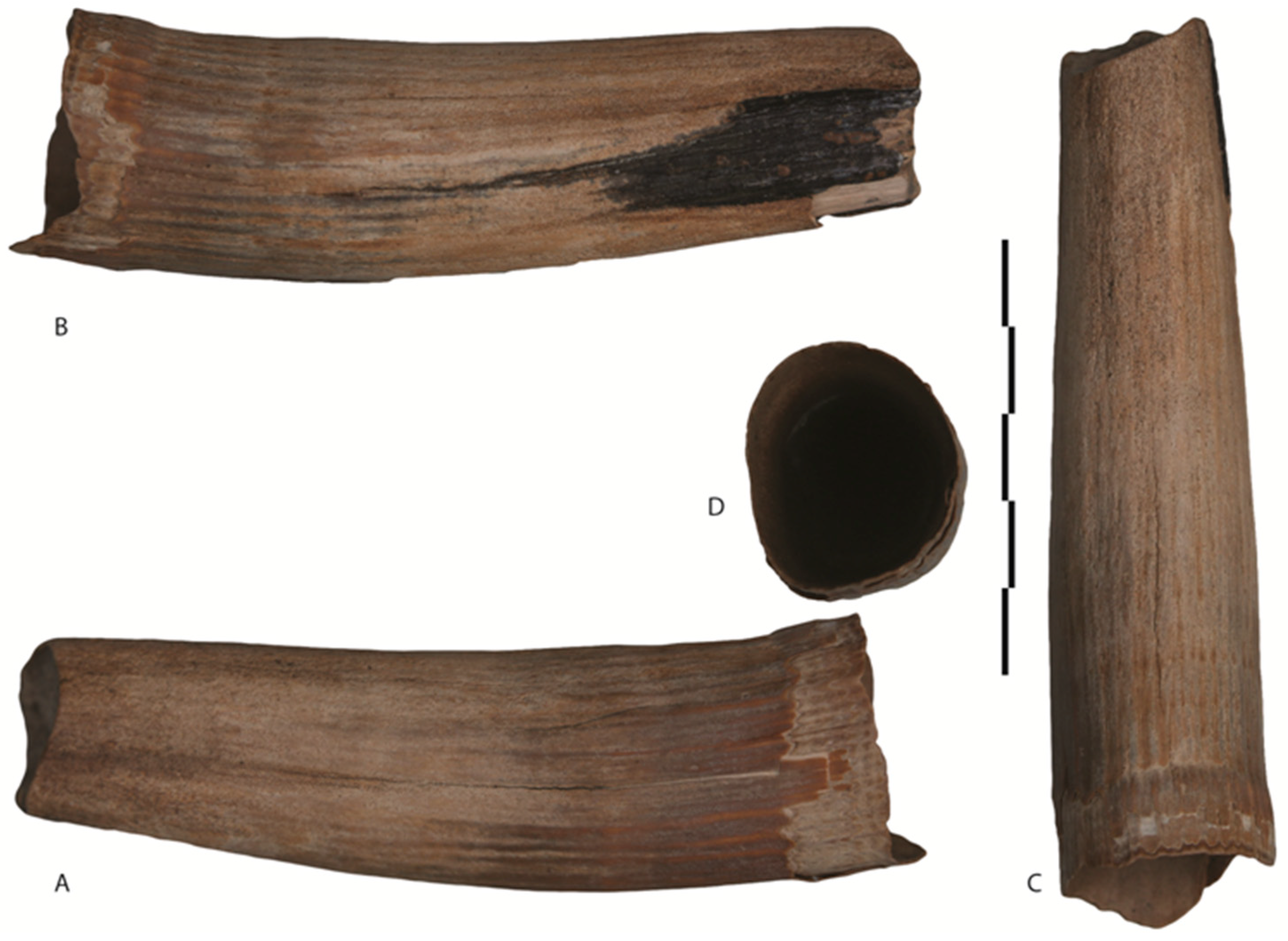 Quaternary 01 00007 g010