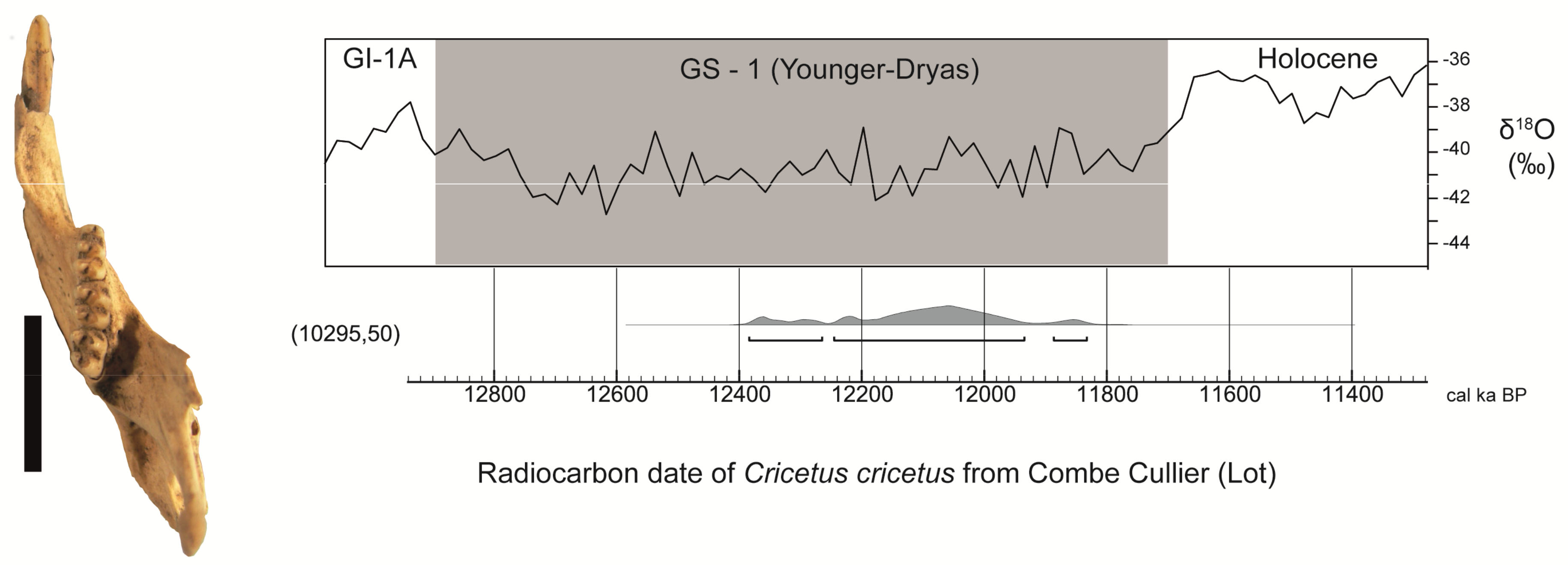 Radiocarbon társkereső tagalog jelentése