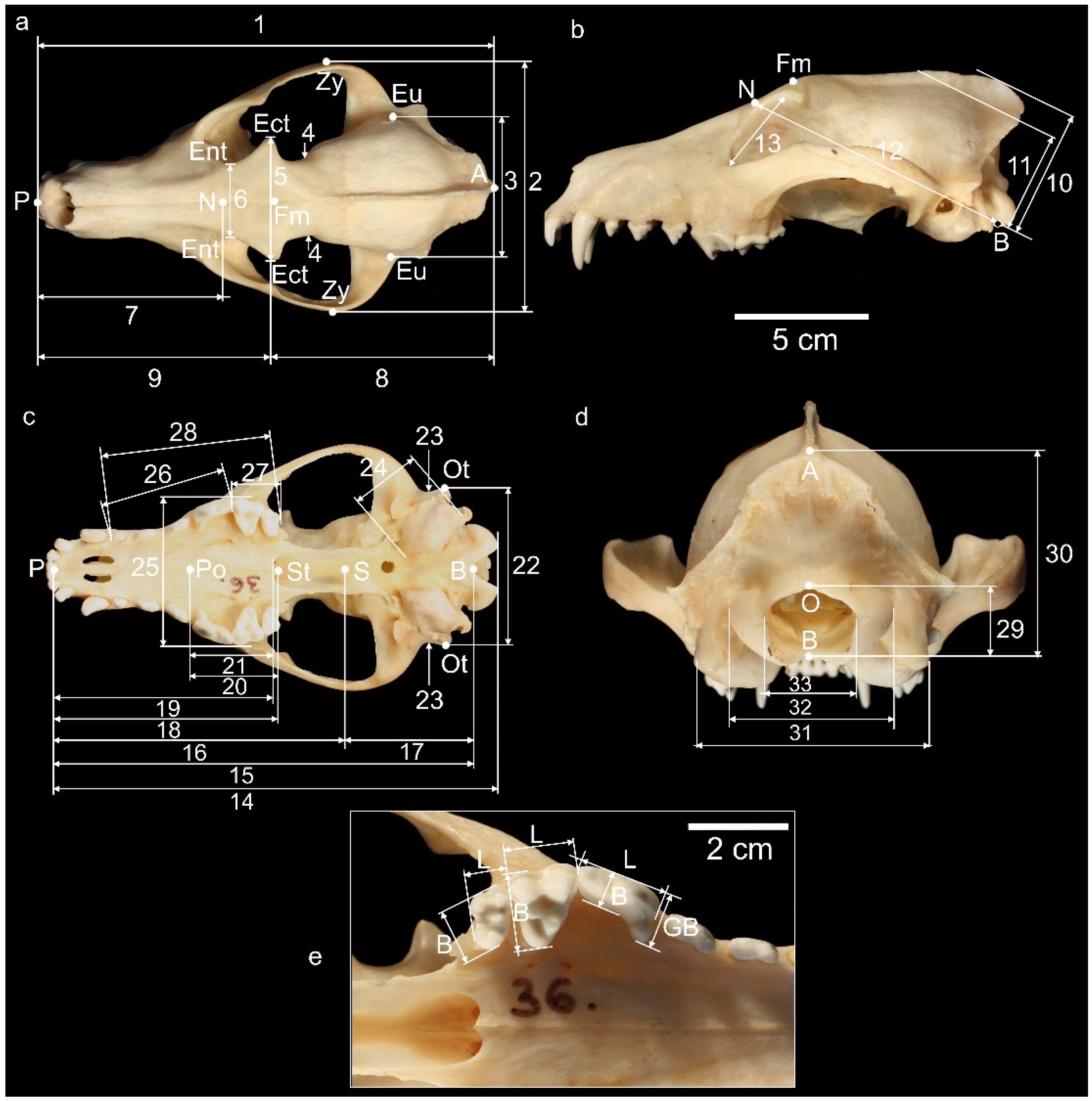 Quaternary 01 00011 g002