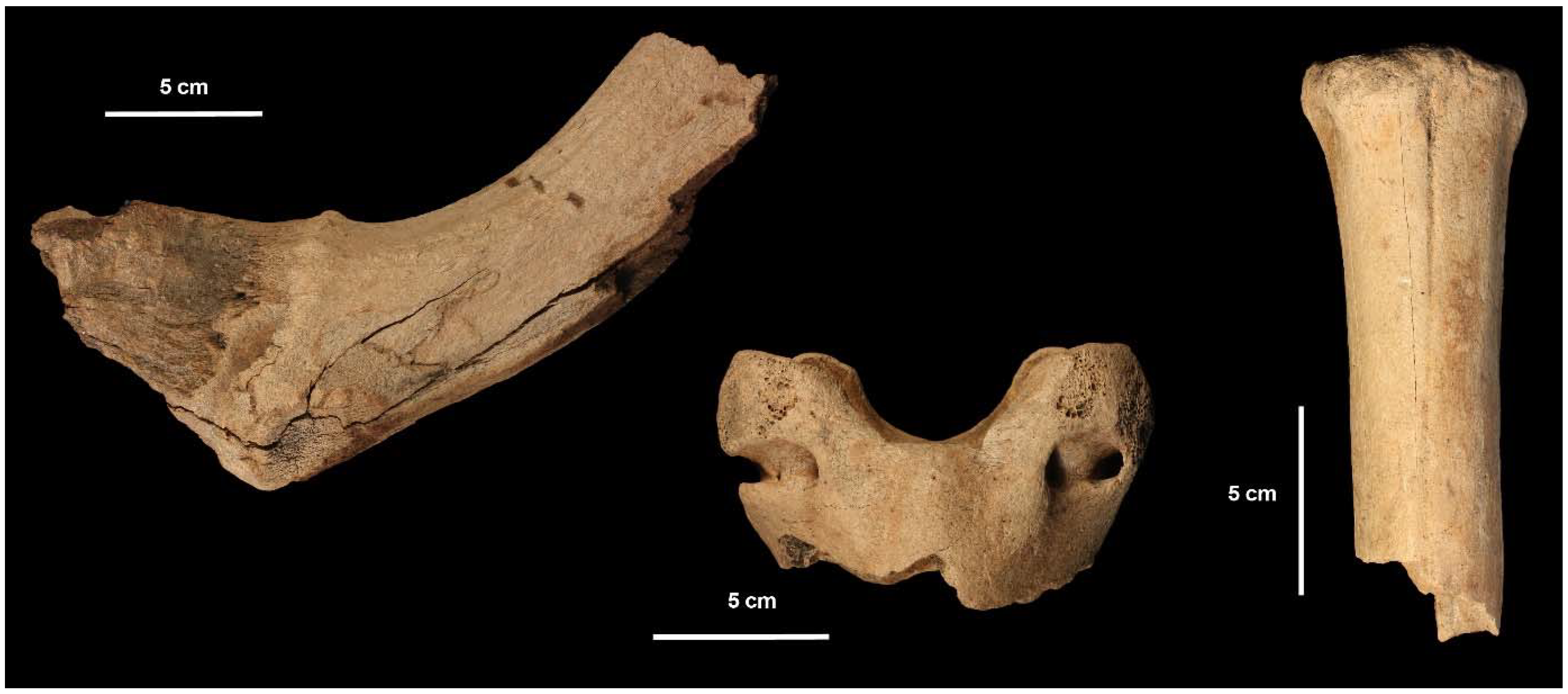 Quaternary 01 00011 g006
