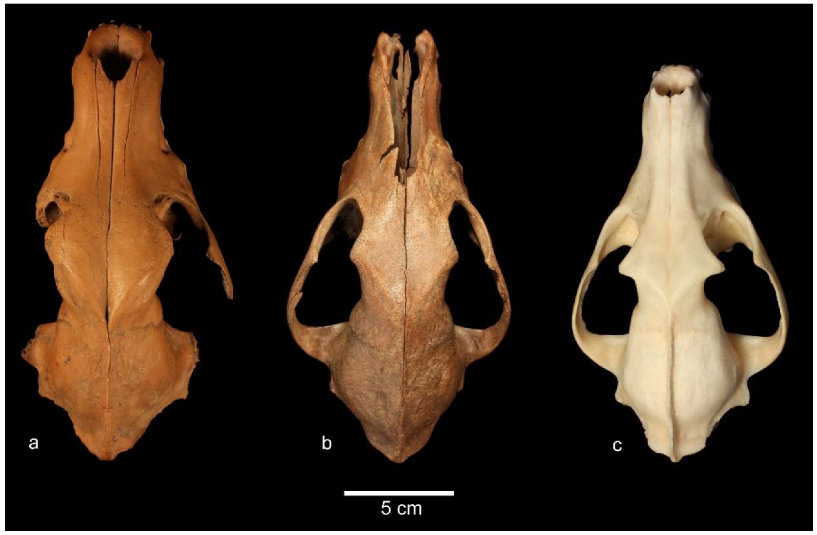 Quaternary 01 00011 g008