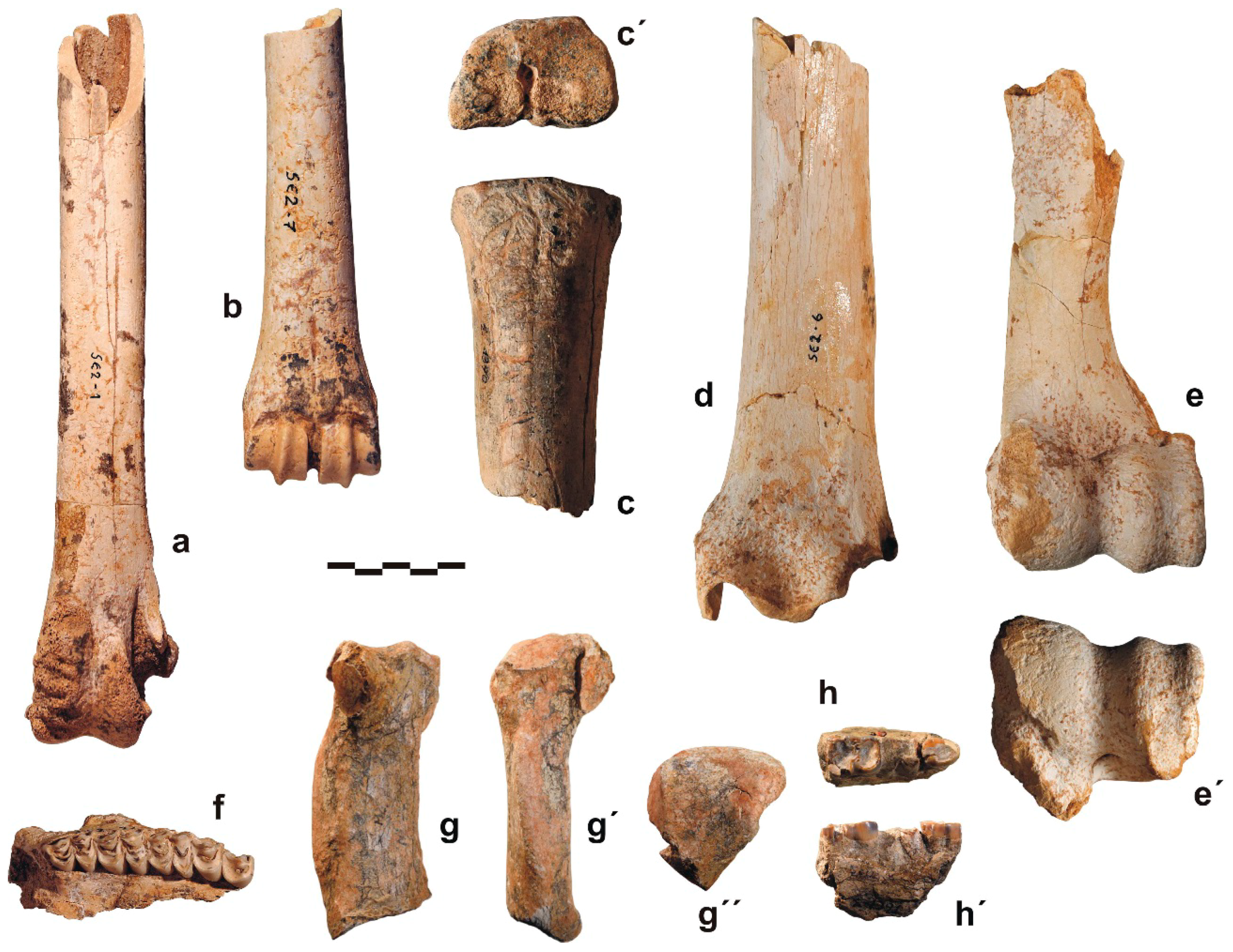 Quaternary 01 00012 g004 Quaternary 01 00012 g004