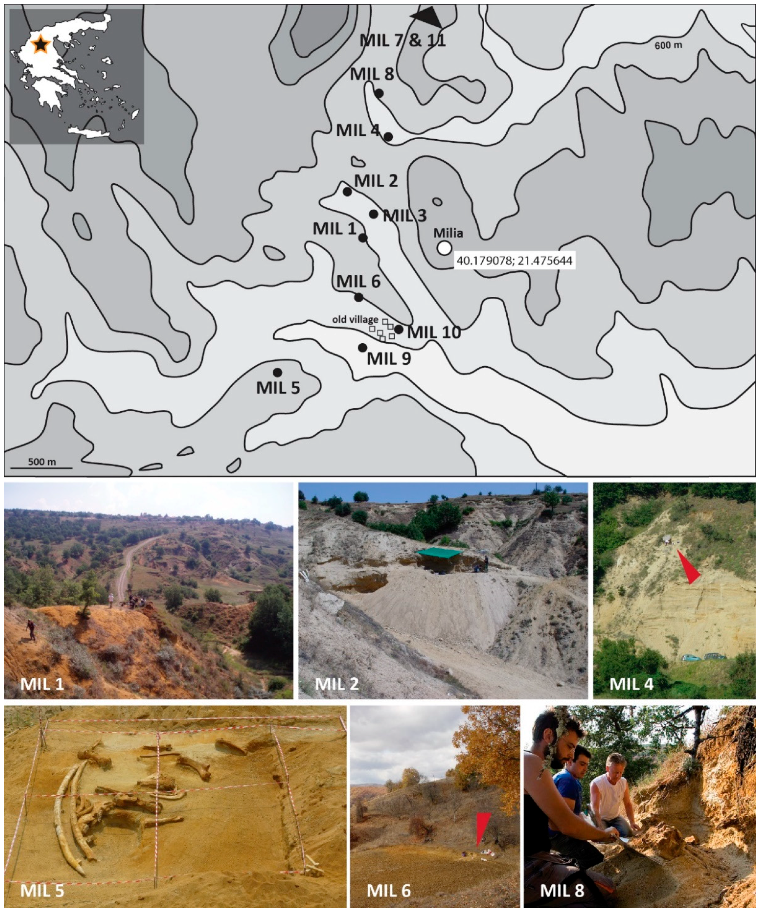 Quaternary 01 00013 g001